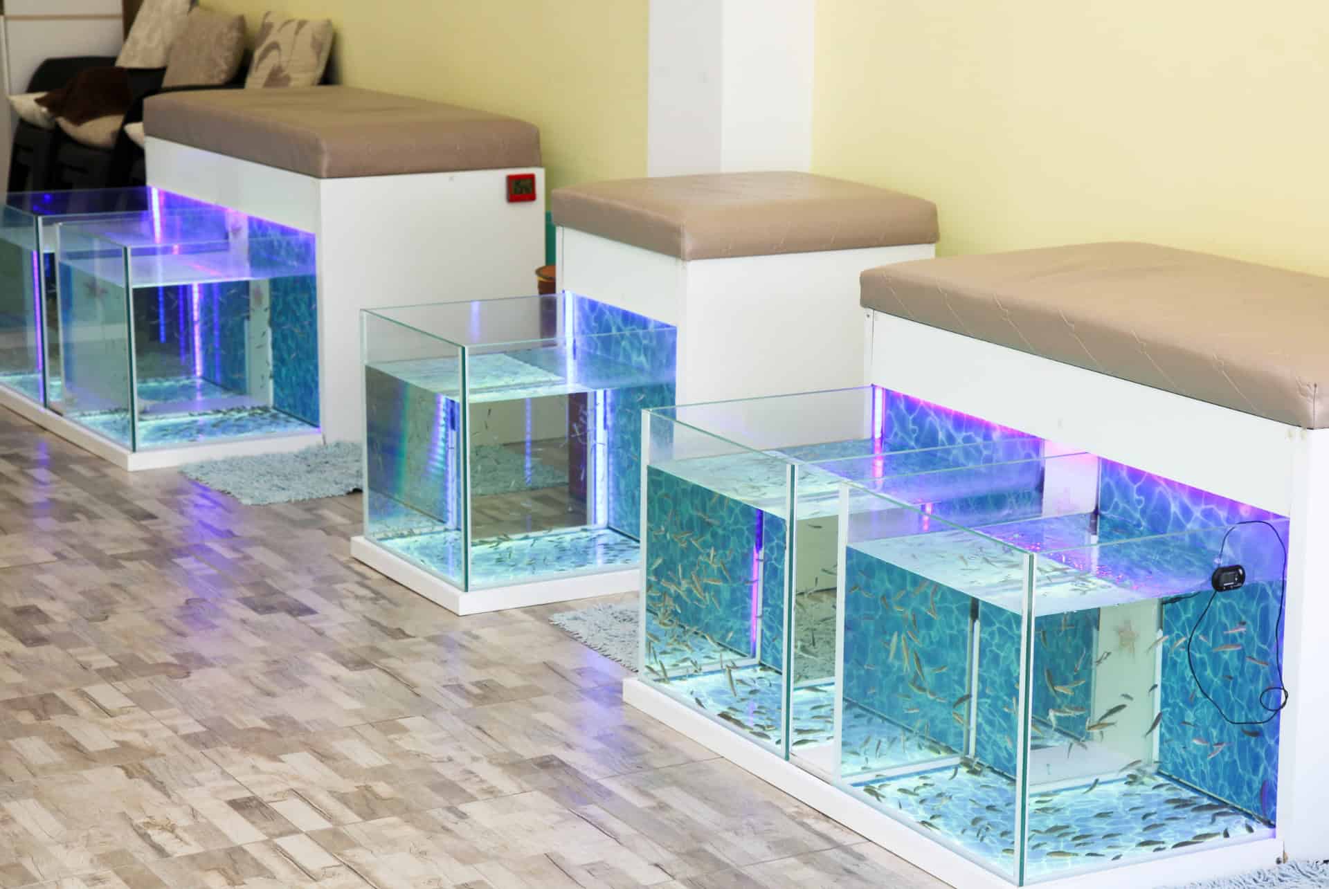 fish spa