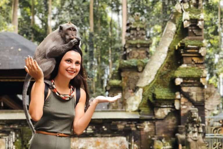 Excursion d'une journée à Ubud : rizières en terrasses, temples et volcan