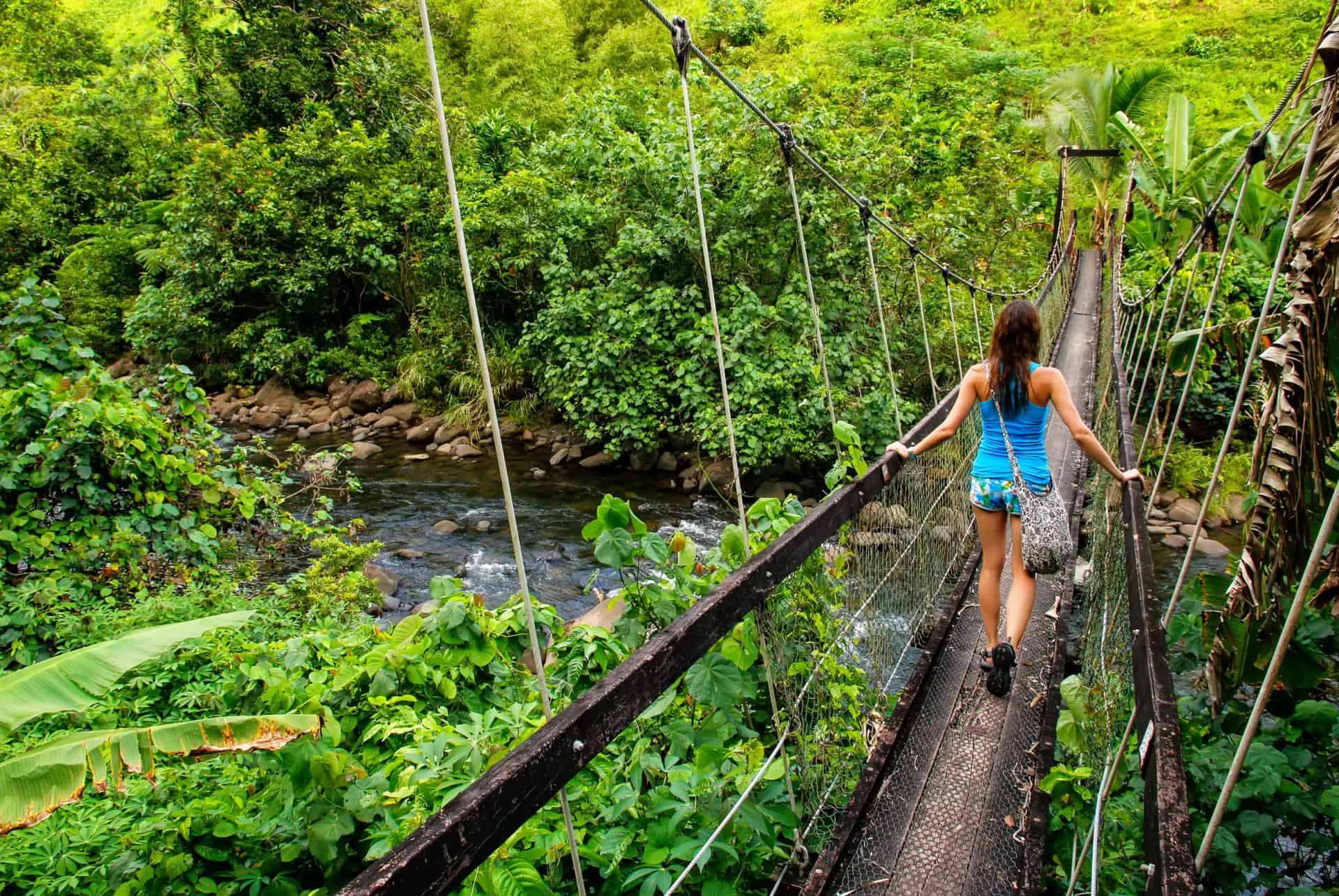 foret taveuni