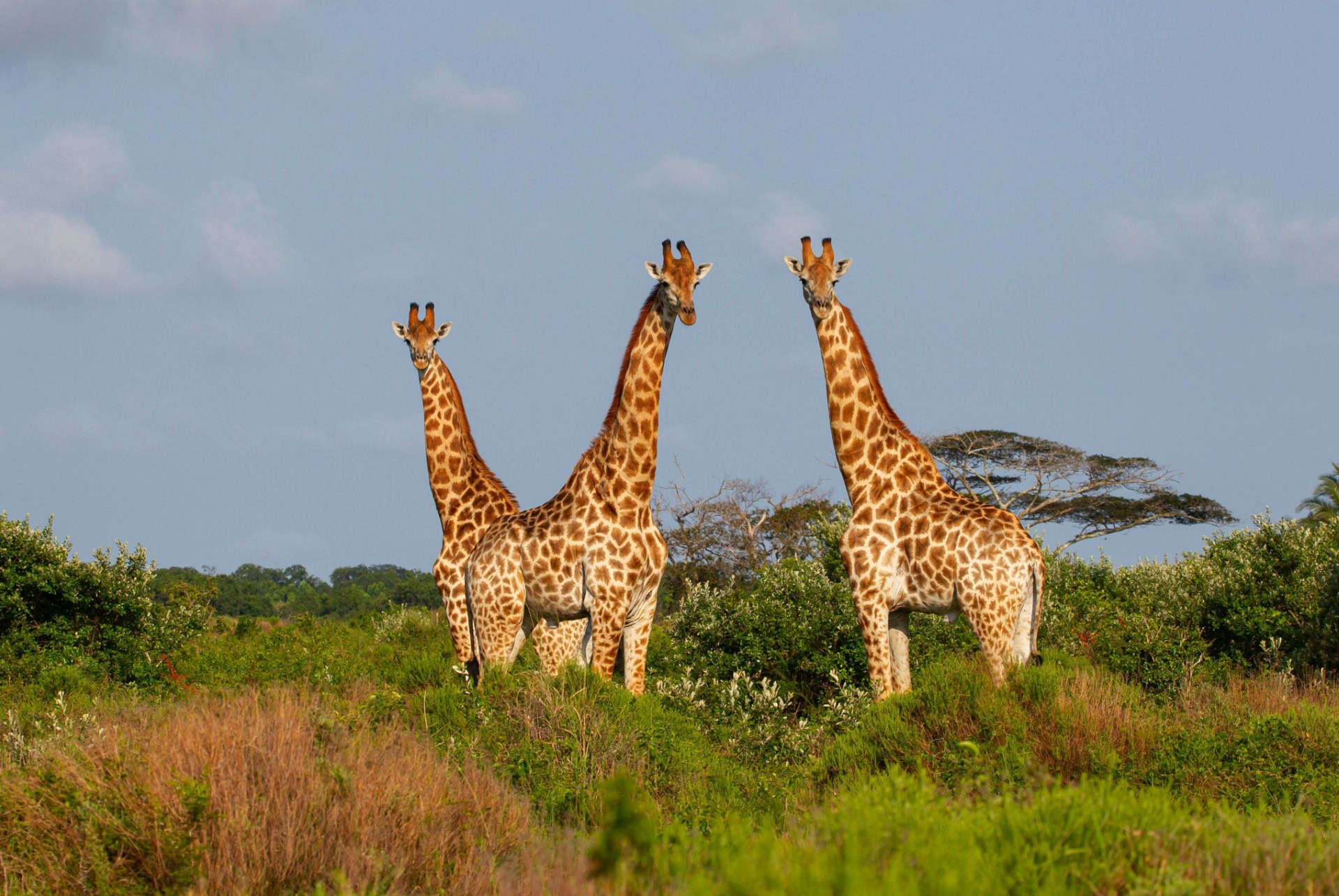 isimangaliso wetland park
