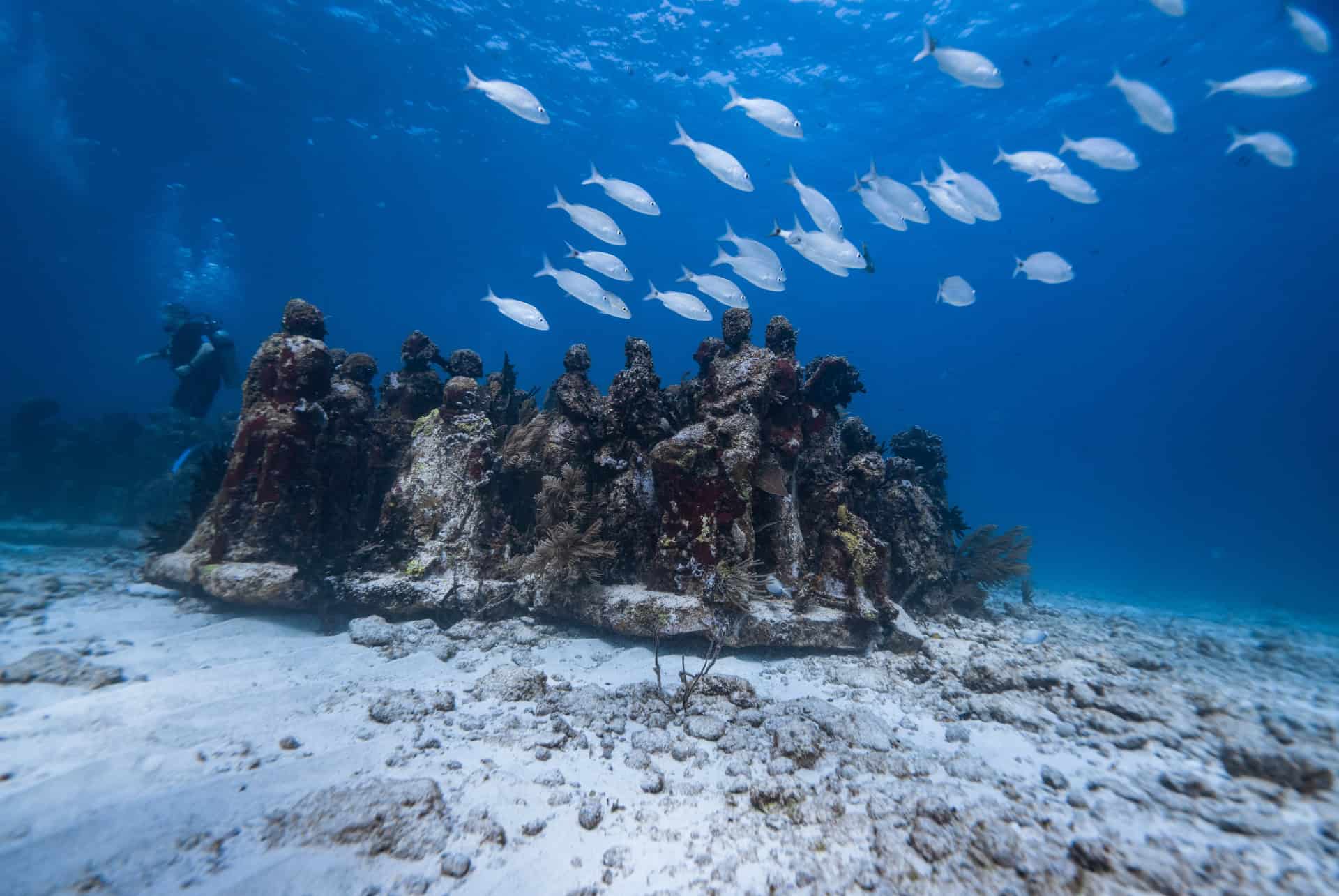 musee sous marin musa islas mujeres