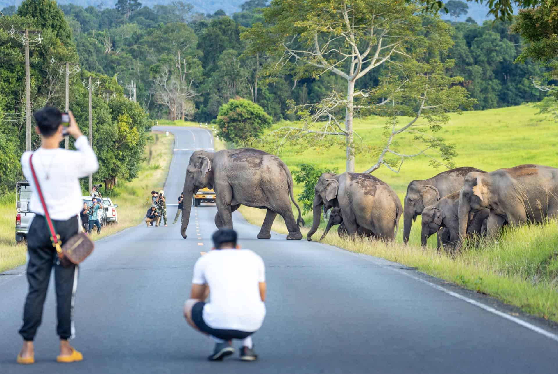 parc national de khao yai