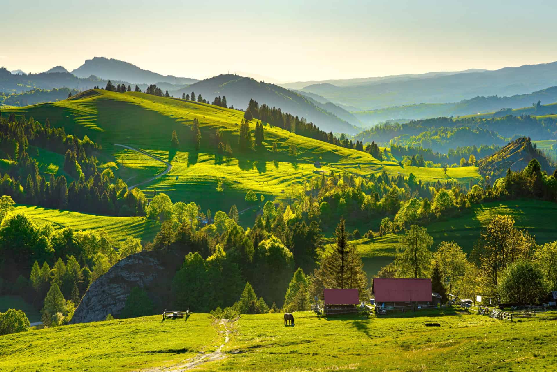 partir en slovaquie