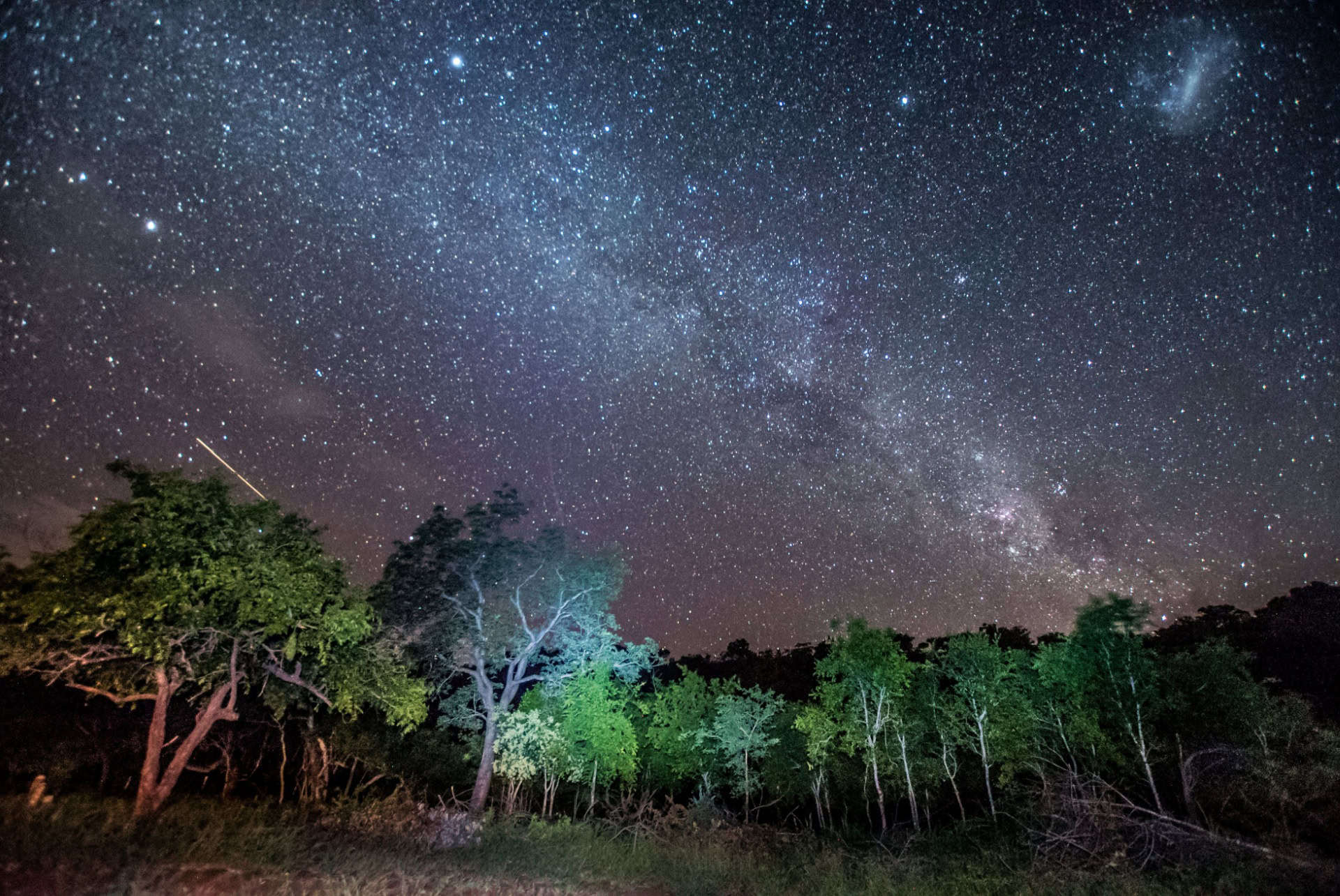 safari nocturne parc isimangaliso afrique du sud