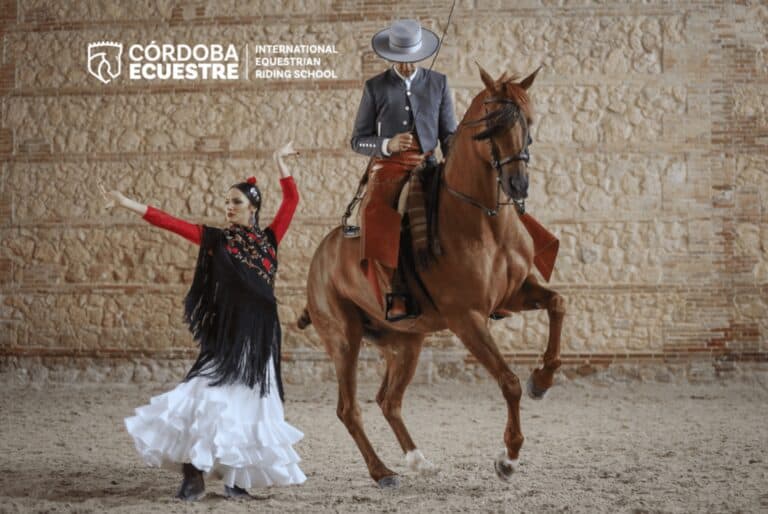 Spectacle chevaux et flamenco
