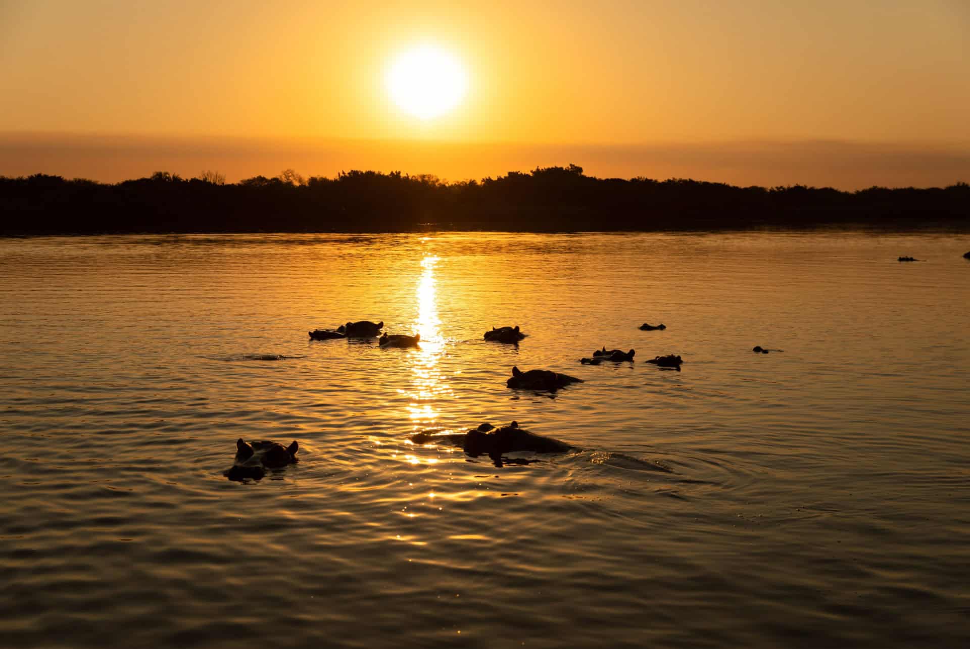 sunset jetty estuaire sainte lucie
