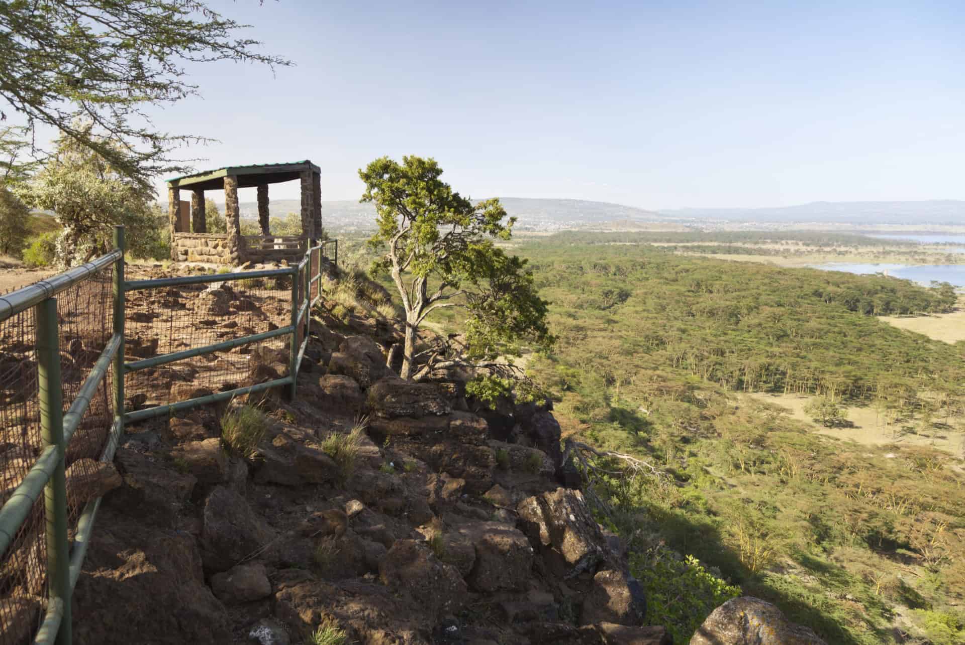 baboon cliff