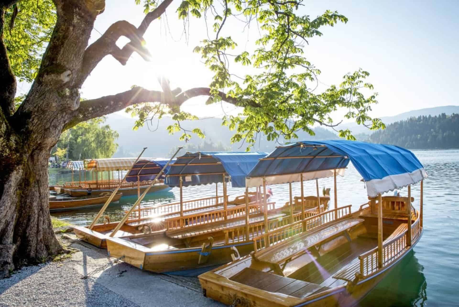 bateaux croisieres touristiques sur le lac bled