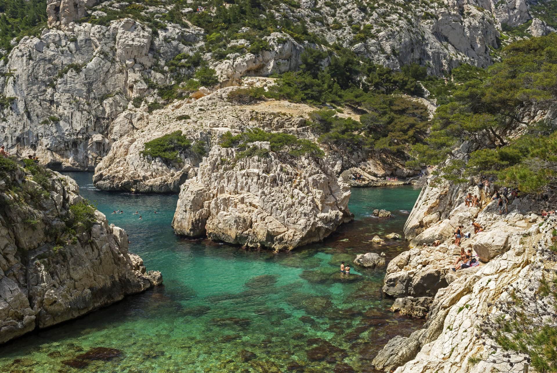 calanque sugiton a marseille en juin