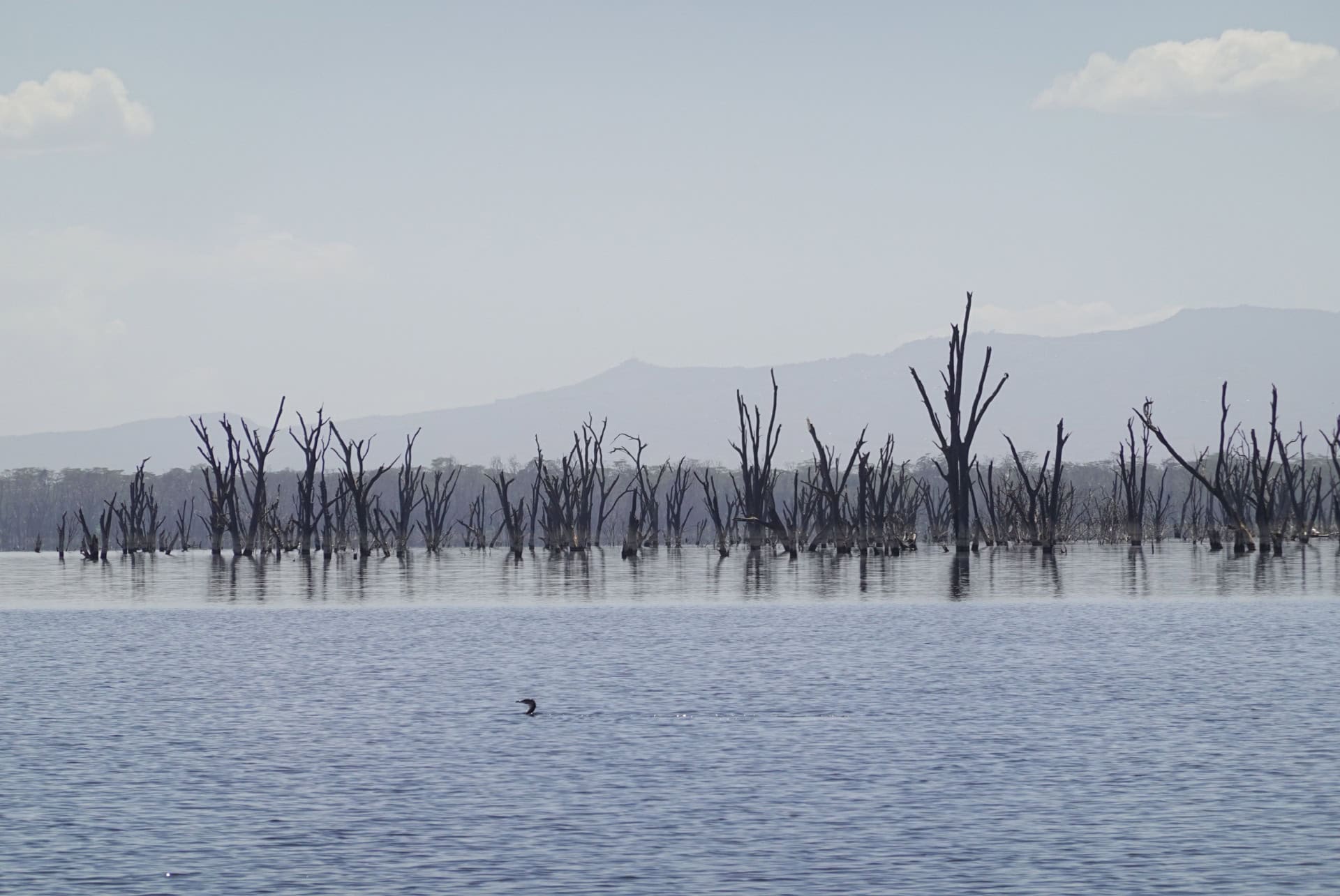 eaux alcalines nakuru