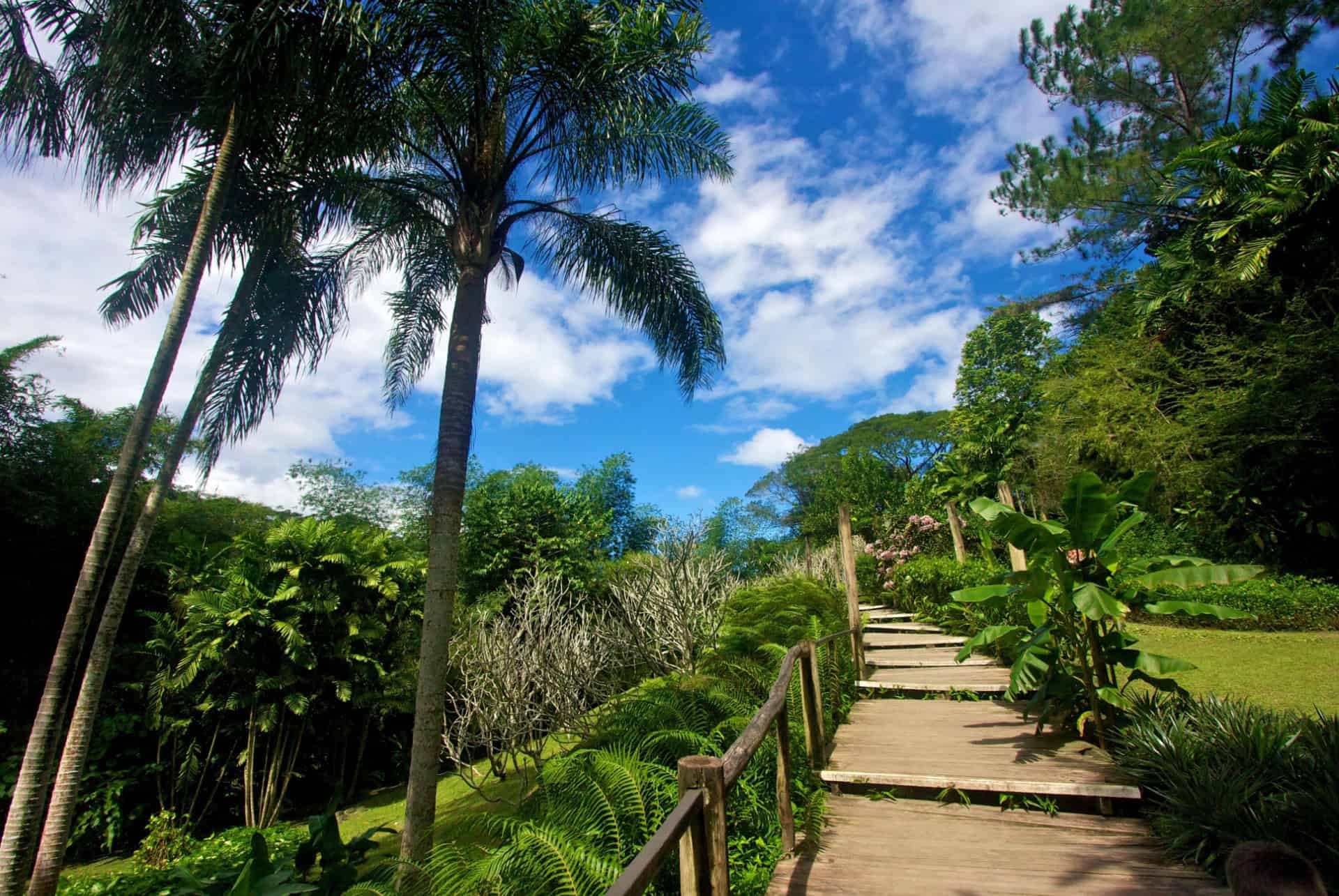 jardin geant endormi