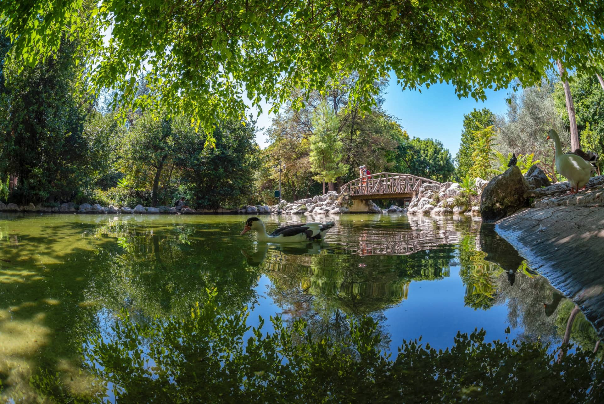 jardin national athenes