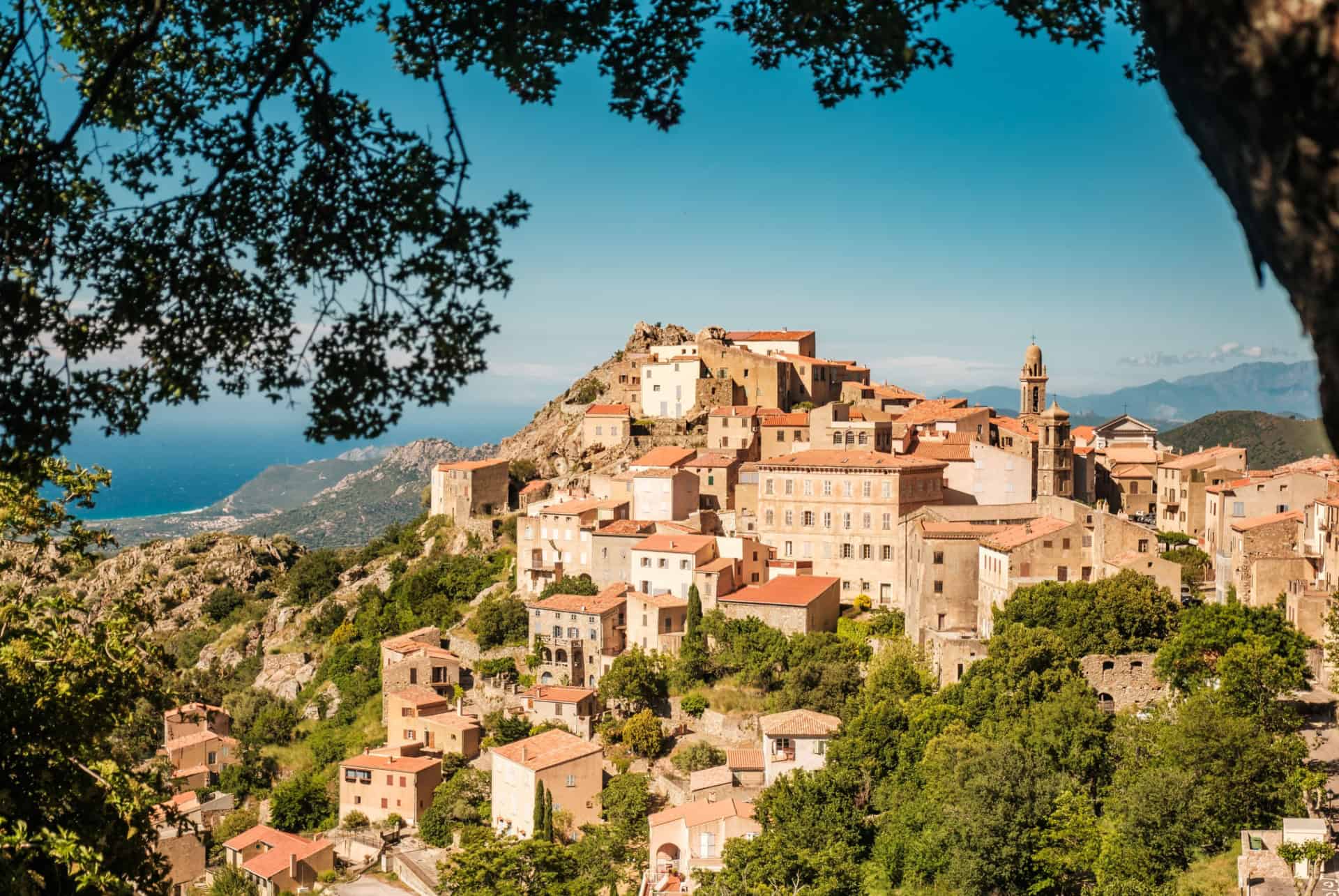 sardaigne ou corse prix