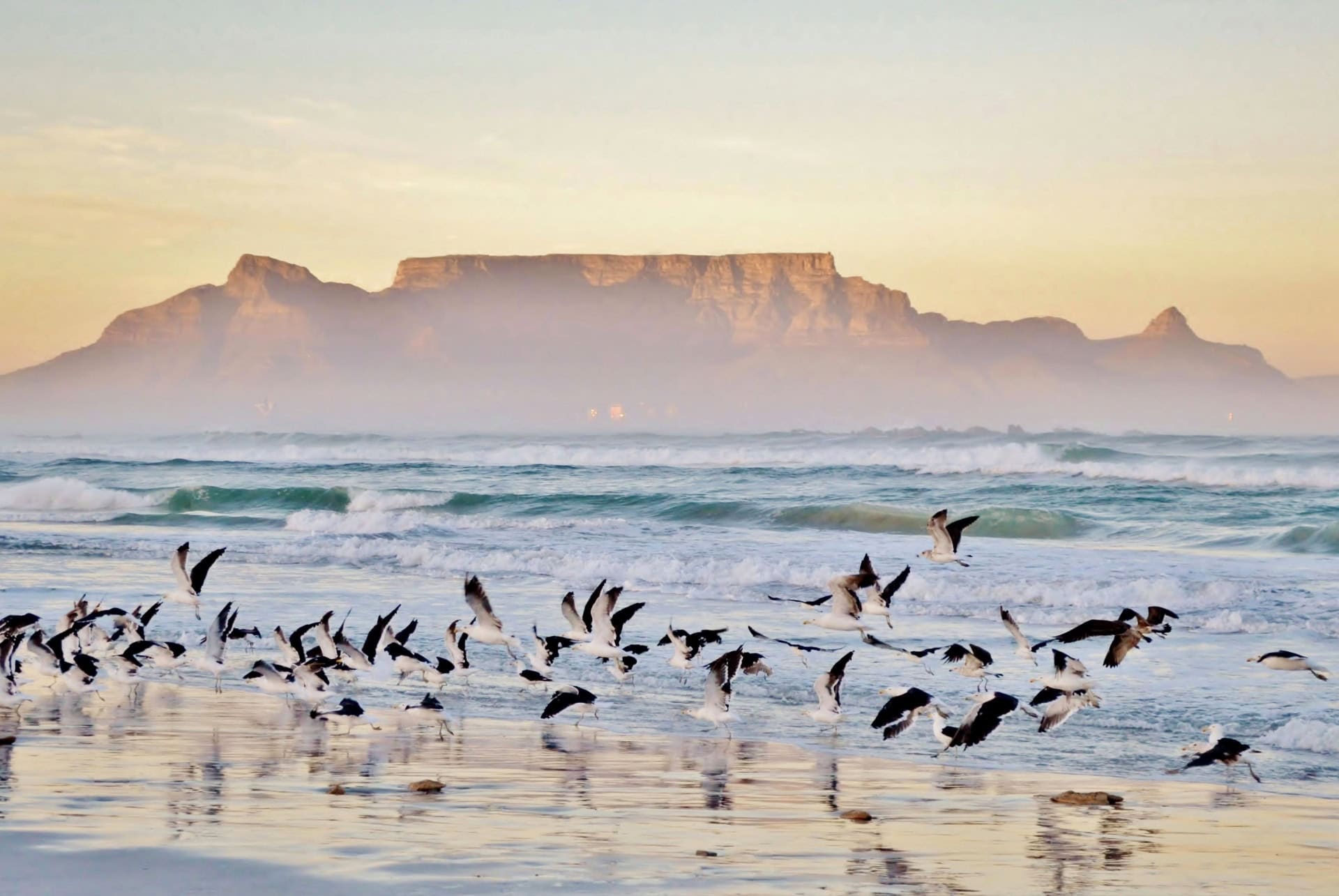 table mountain merveilles monde
