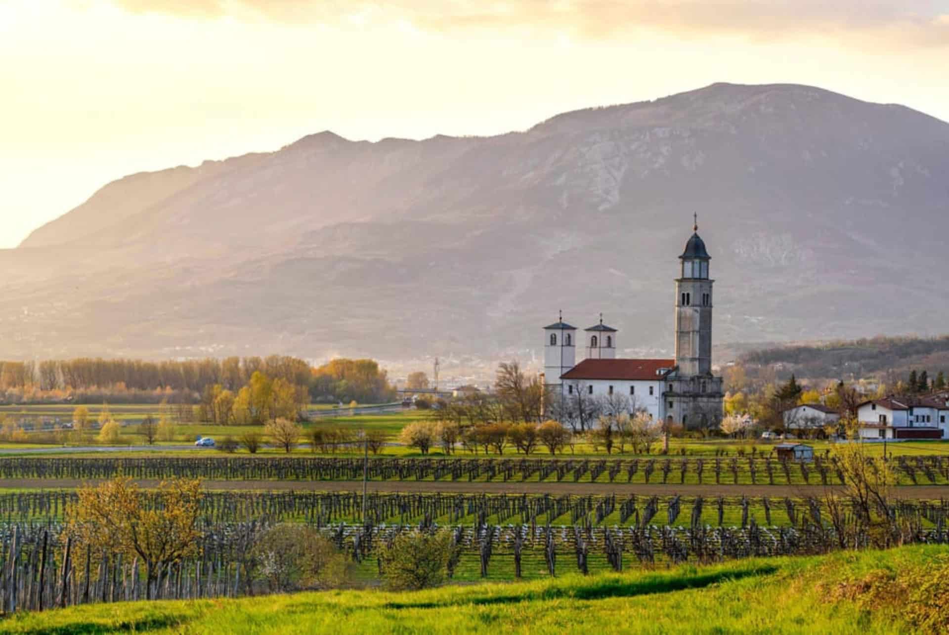 vallee de vipava