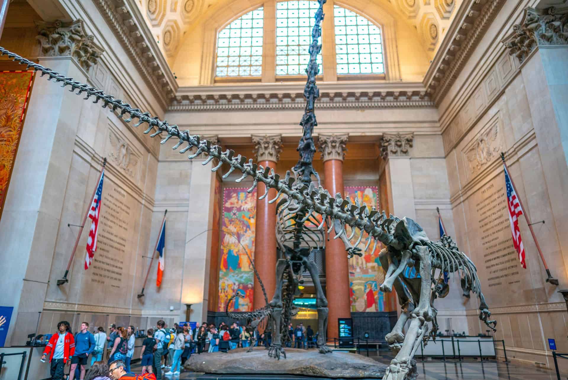 american museum of natural history