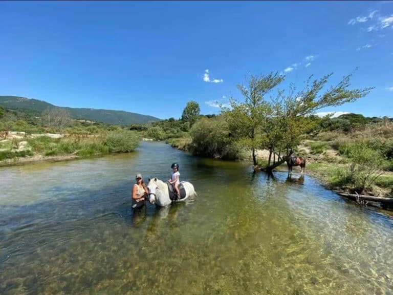 Balade en poney à Filitosa