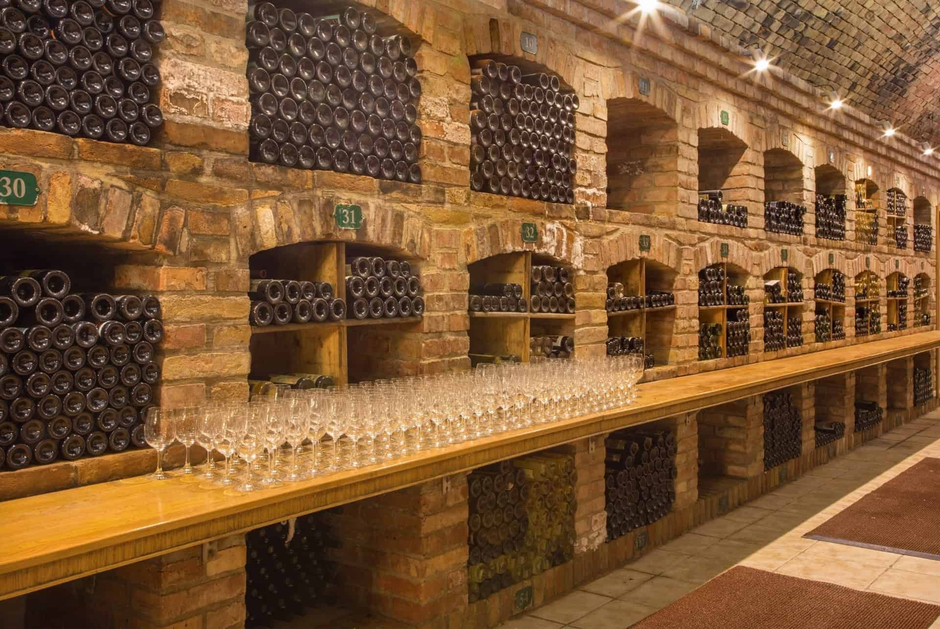 degustation vin bratislava