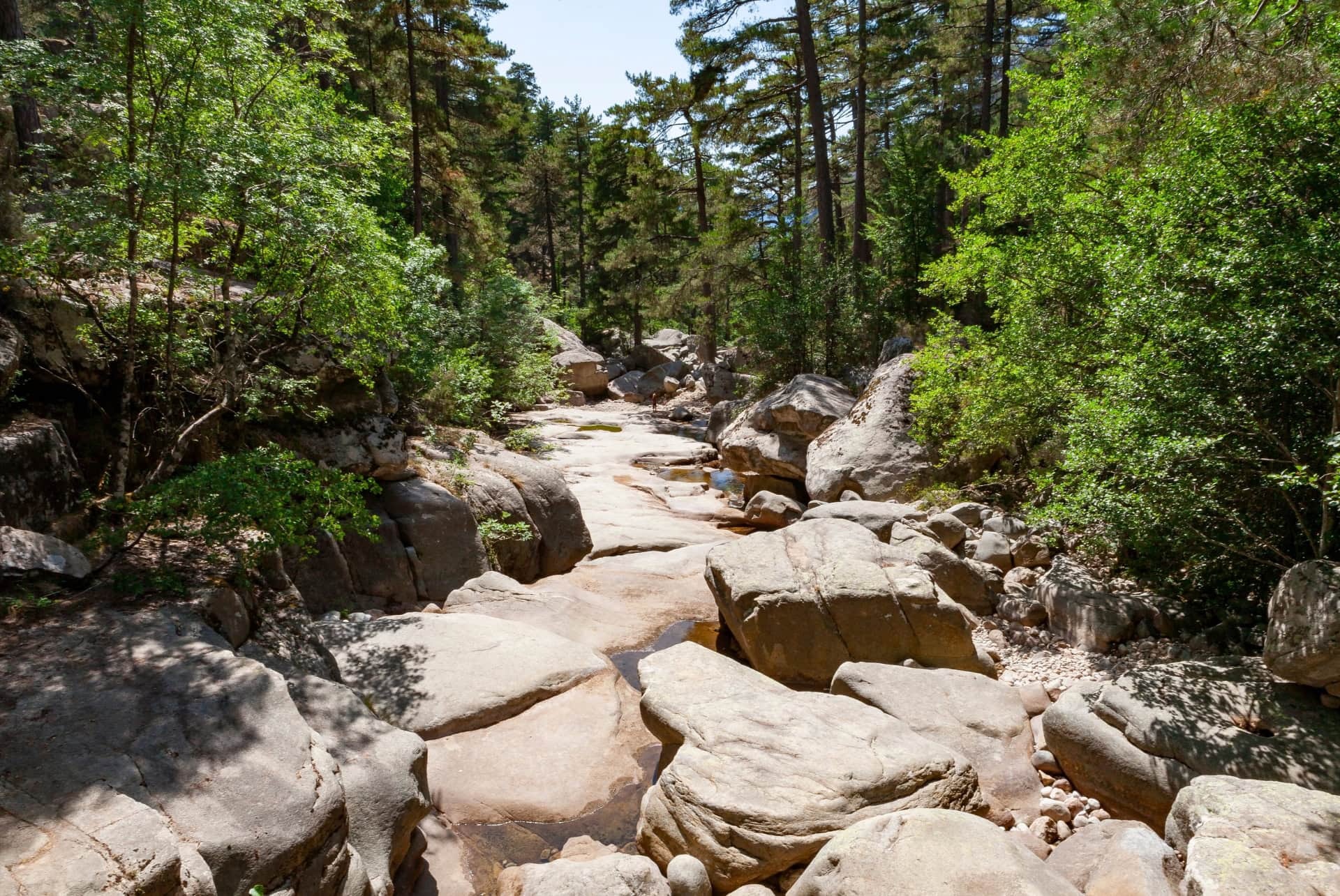 foret aitone que faire en corse