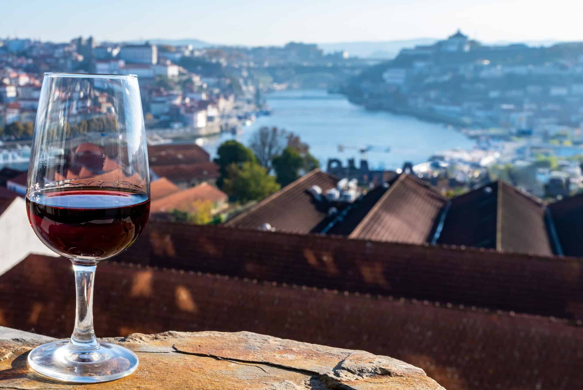 gaia vin porto en 1 jour