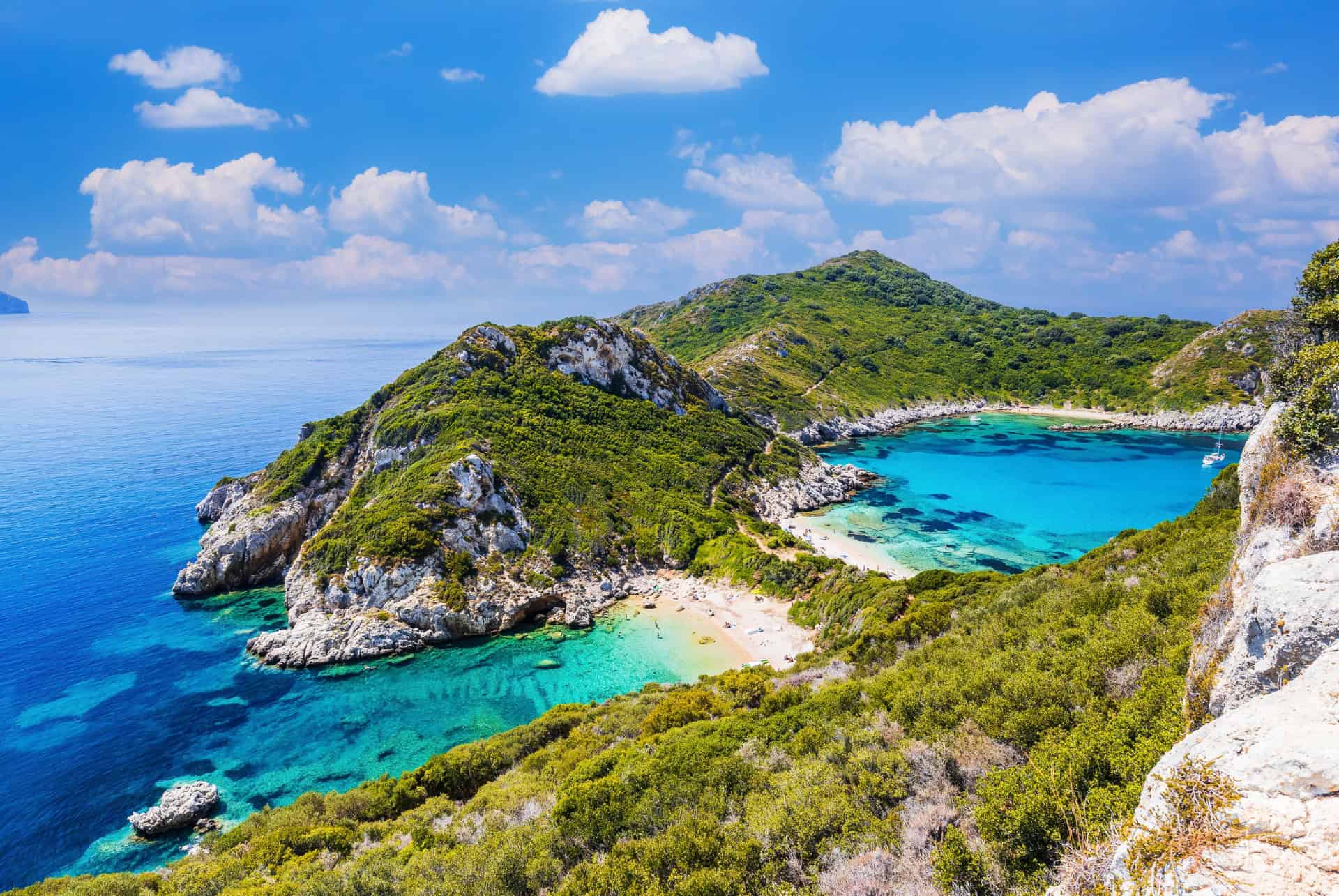 porto timoni