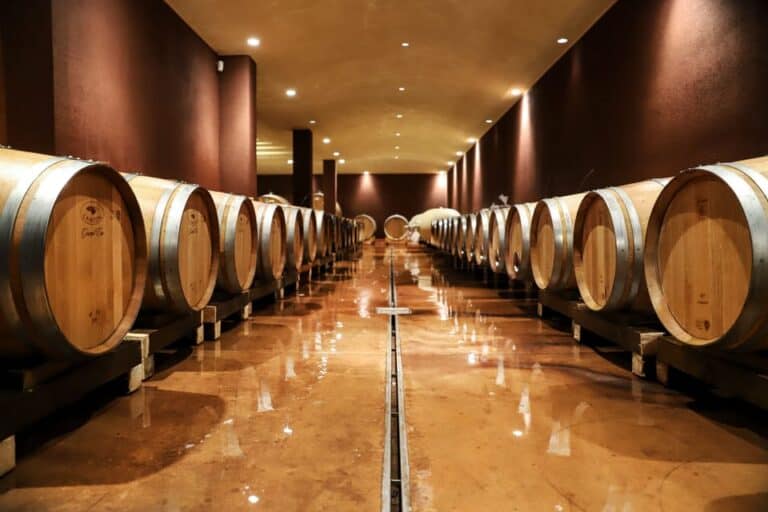 Visite des vignobles et dégustation de vins