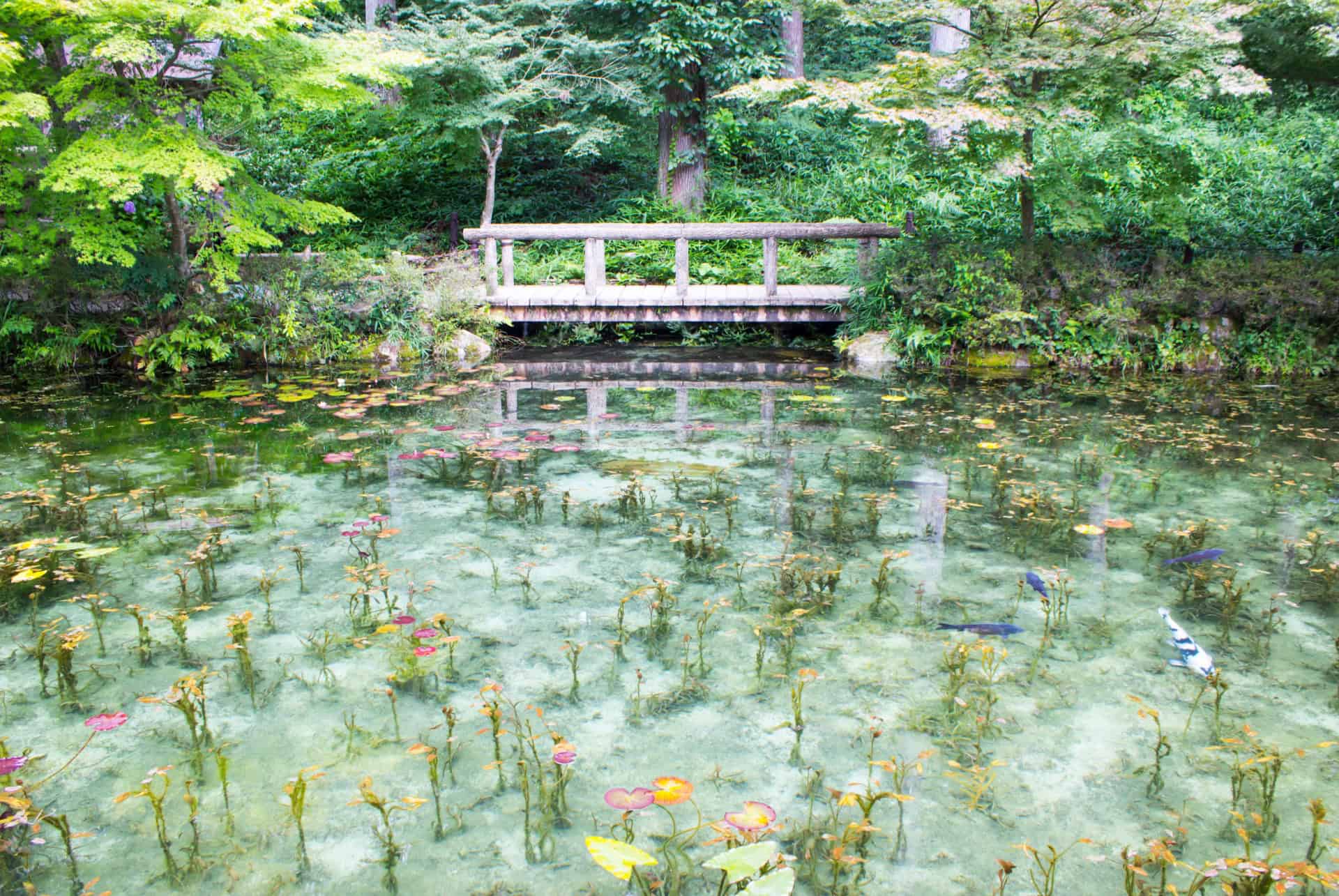 etang de monet gifu japon