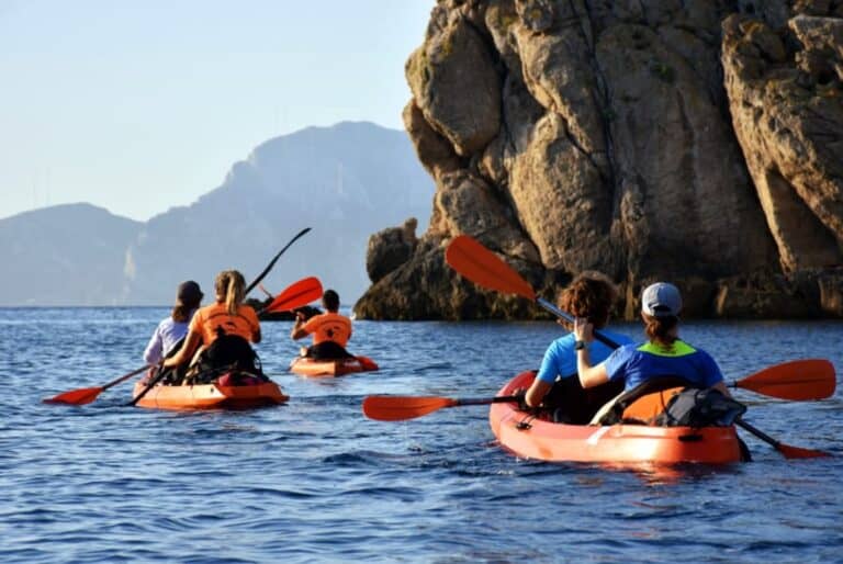 Dauphins et kayak dans le Golfo Aranci