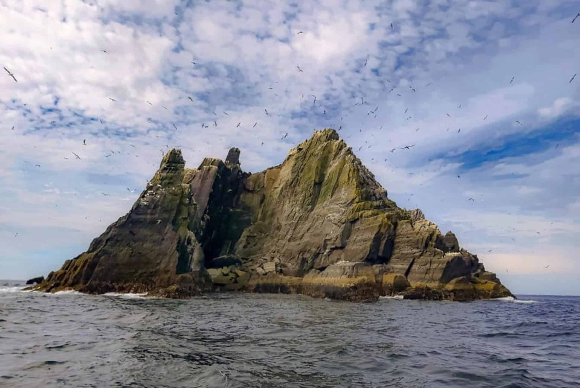 little skellig