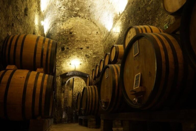 Dégustation de vins et visite des caves