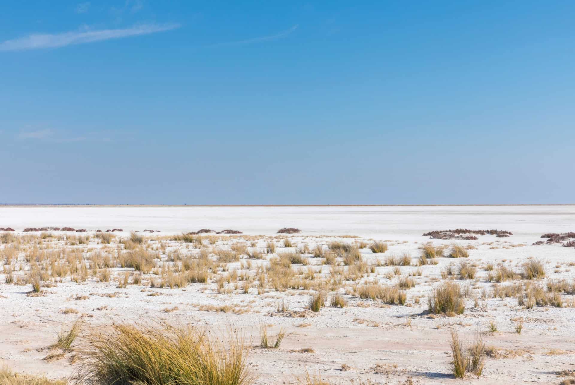paysage namibie etosha national park
