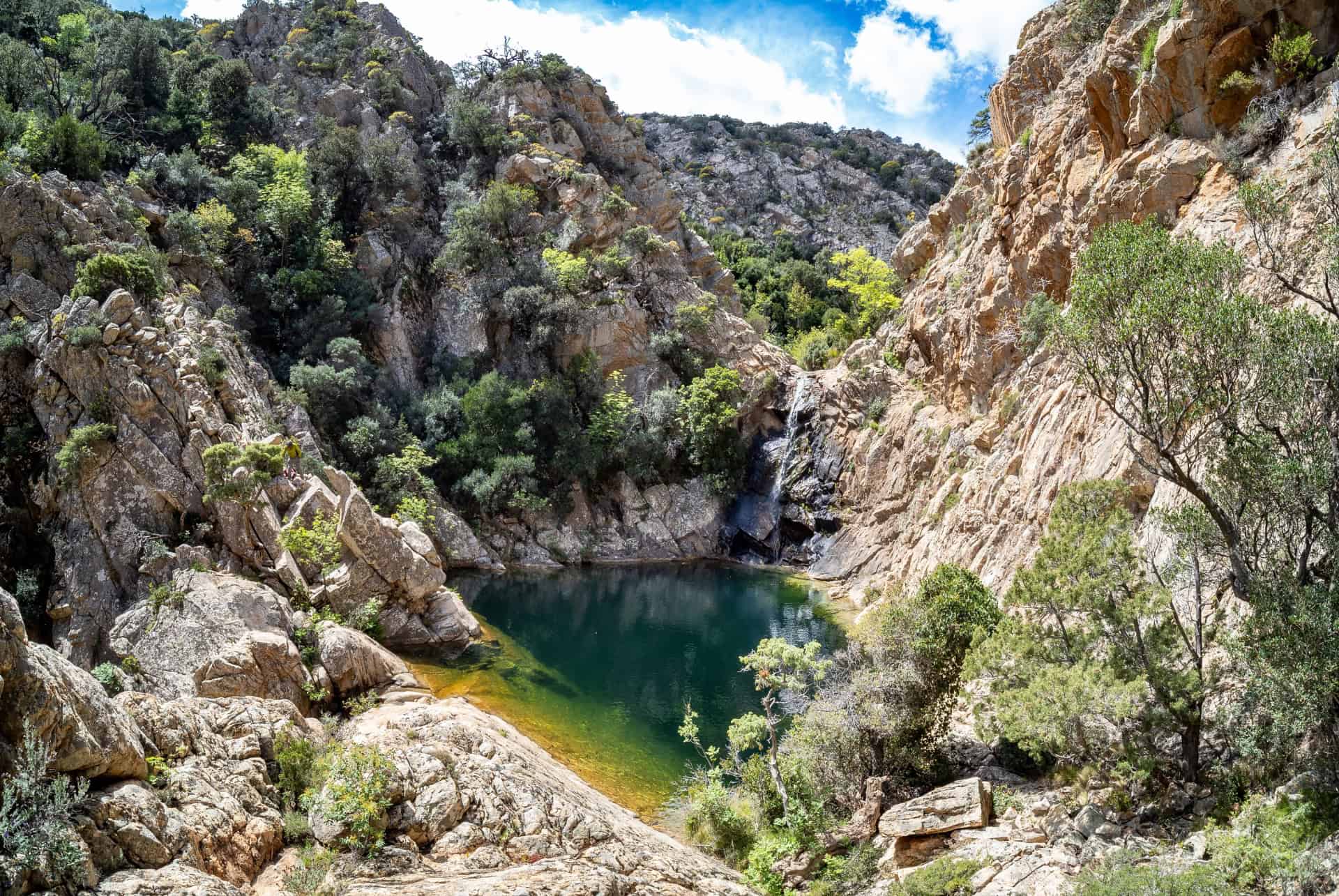 piscine naturelle a pistrisconi