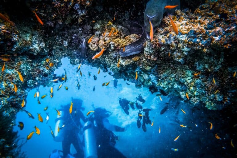 Session de plongée sous-marine à Santa Maria