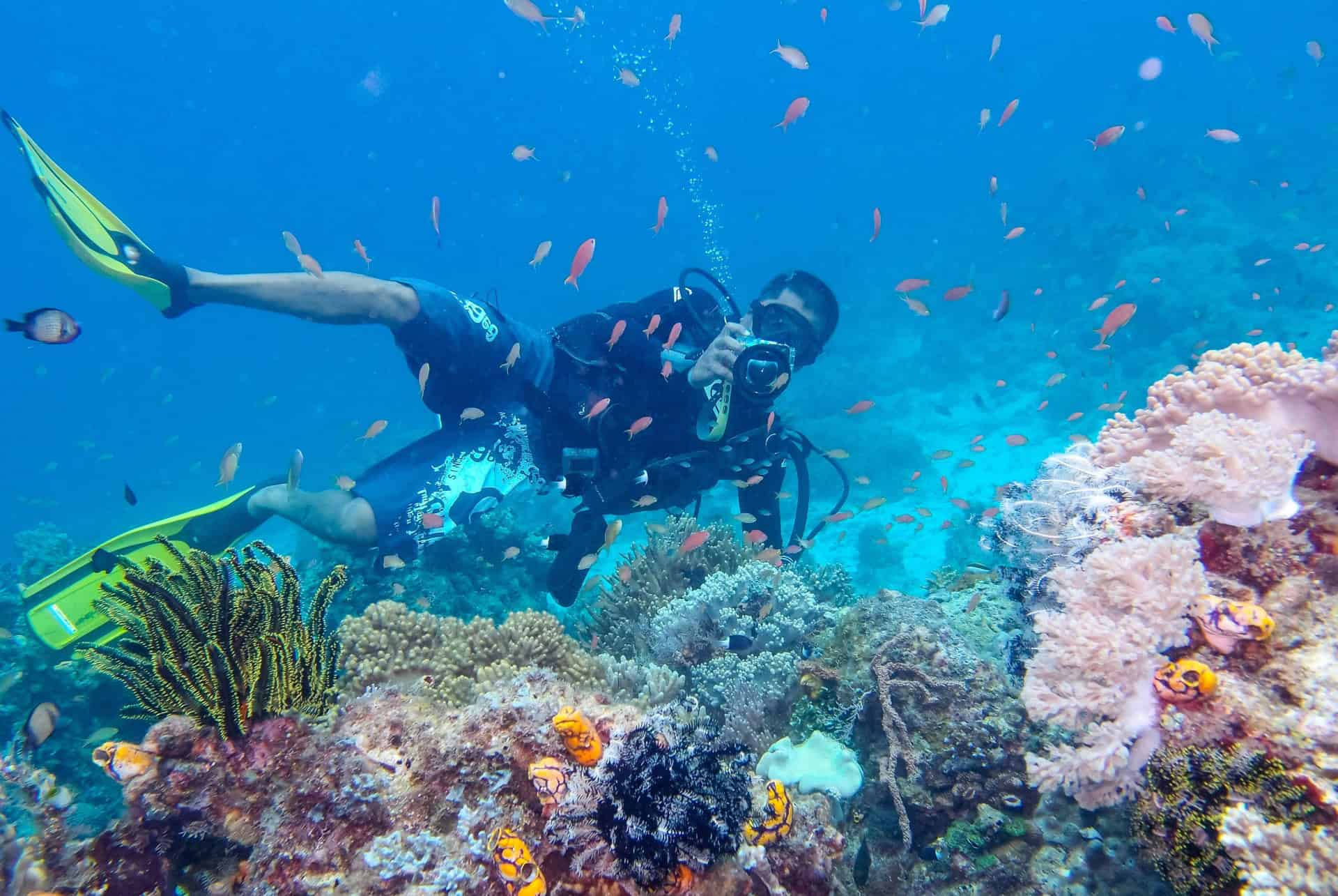 plongee sous marine malaisie