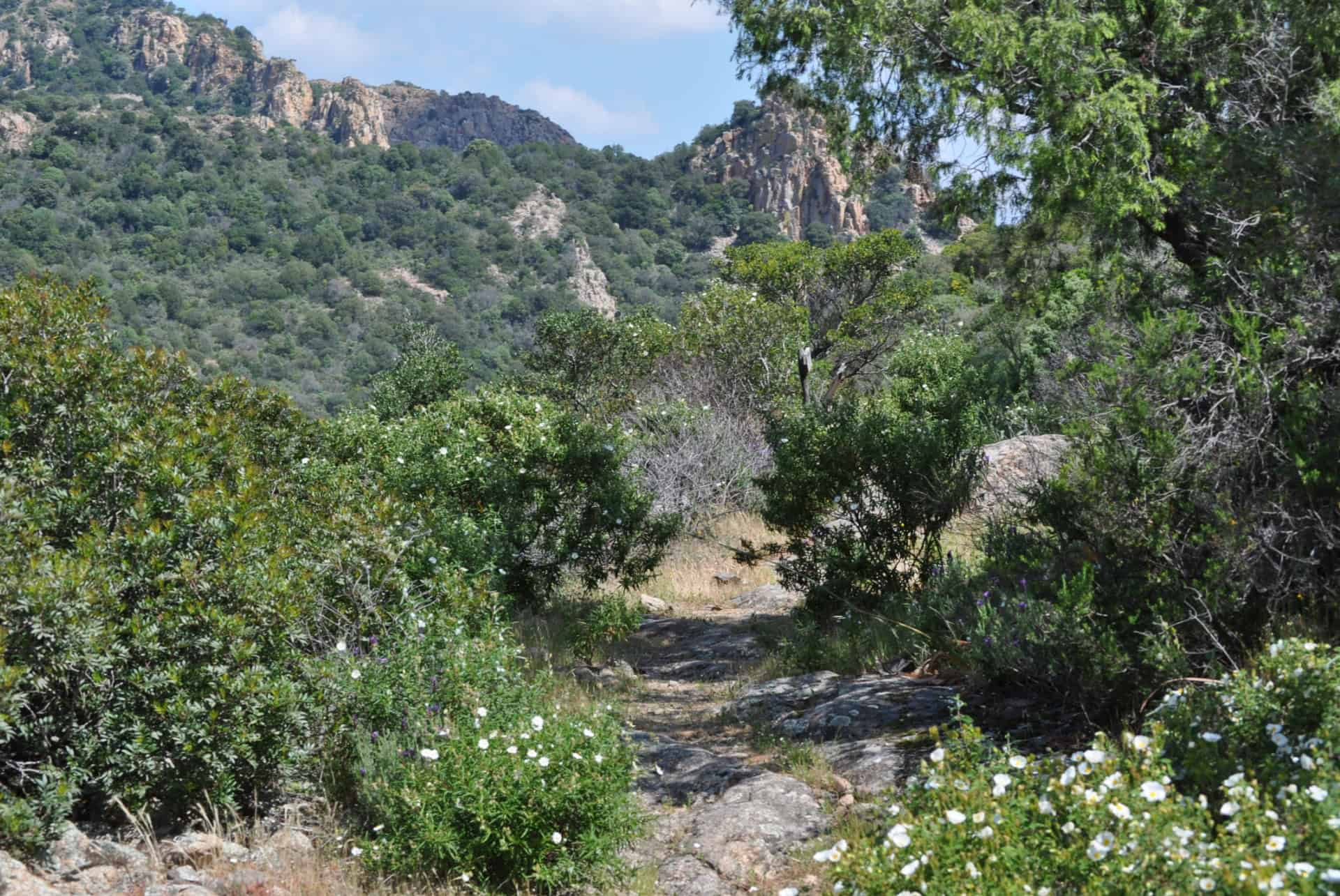 randonnee au monte arcosu