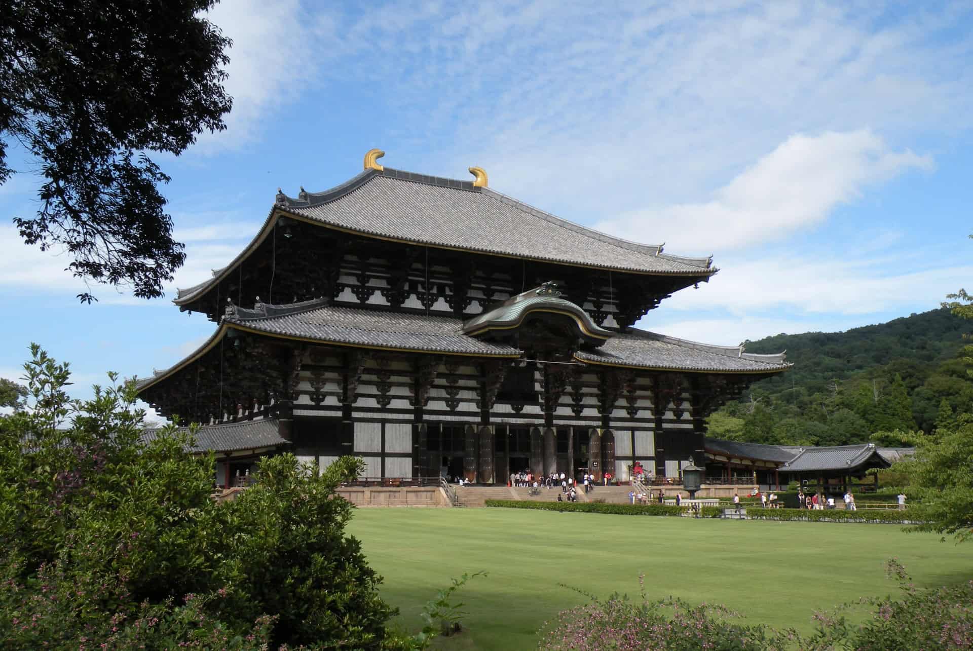 temple todaiji a nara au japon en juin