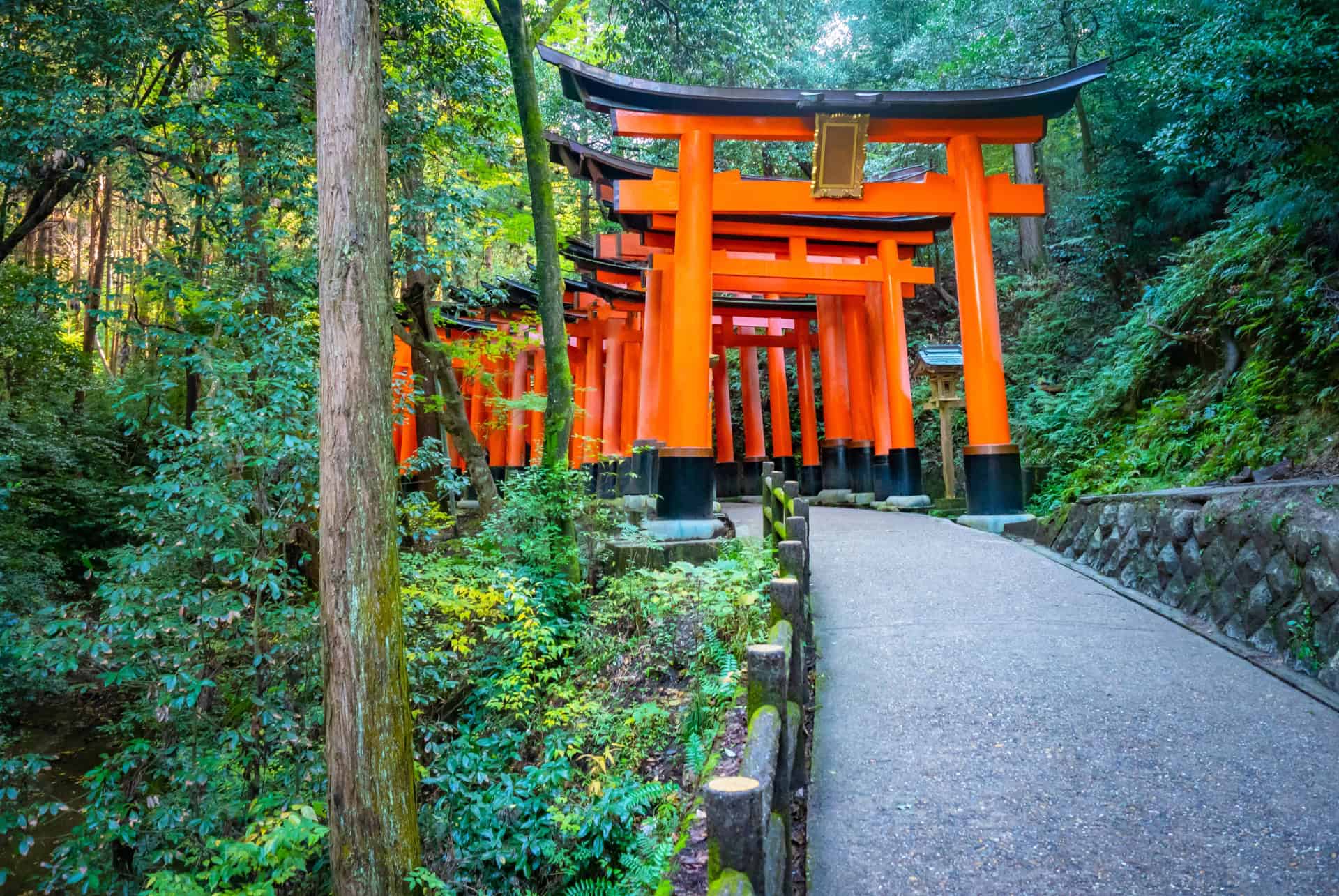torii rouges du sanctuaire de fushimi inari taisha a kyoto