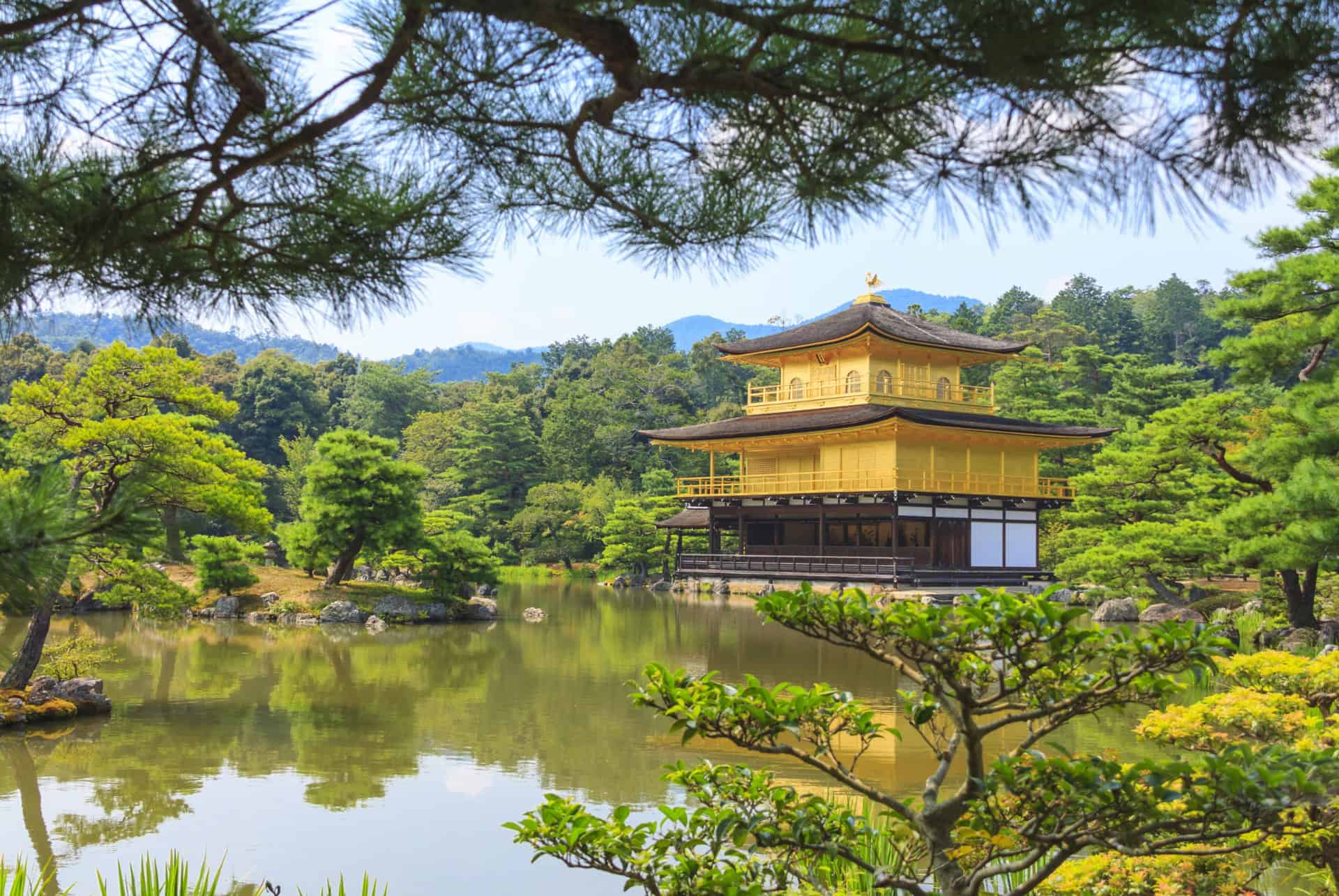 visiter le temple kinkakuji au japon en juin