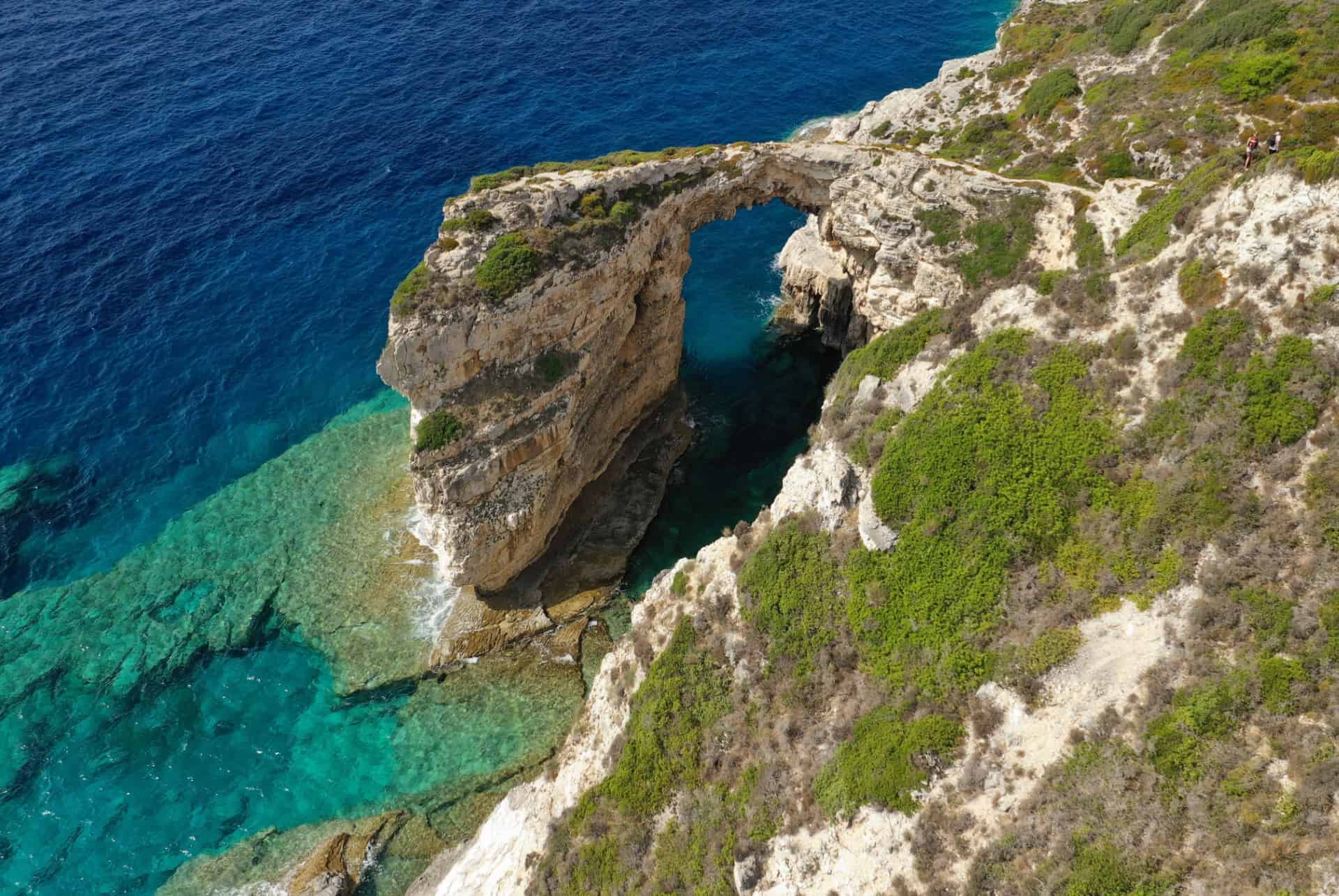 arche de tripitos paxos