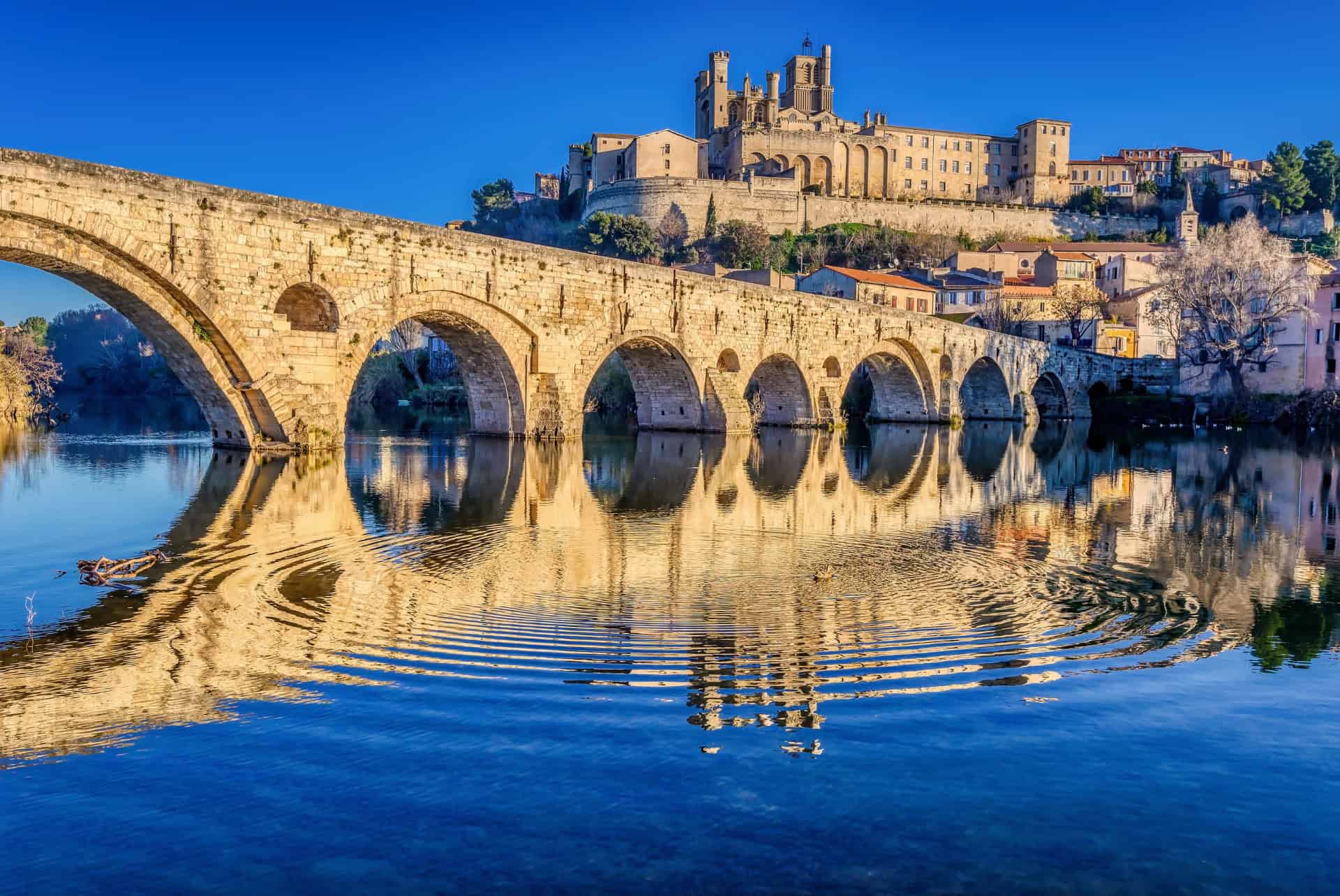 avignon