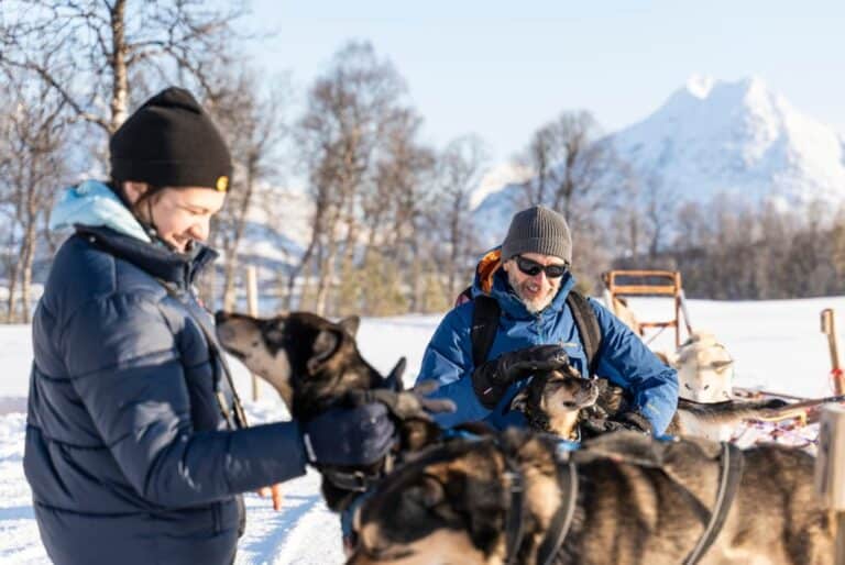 Balade autonome en chiens de traîneau
