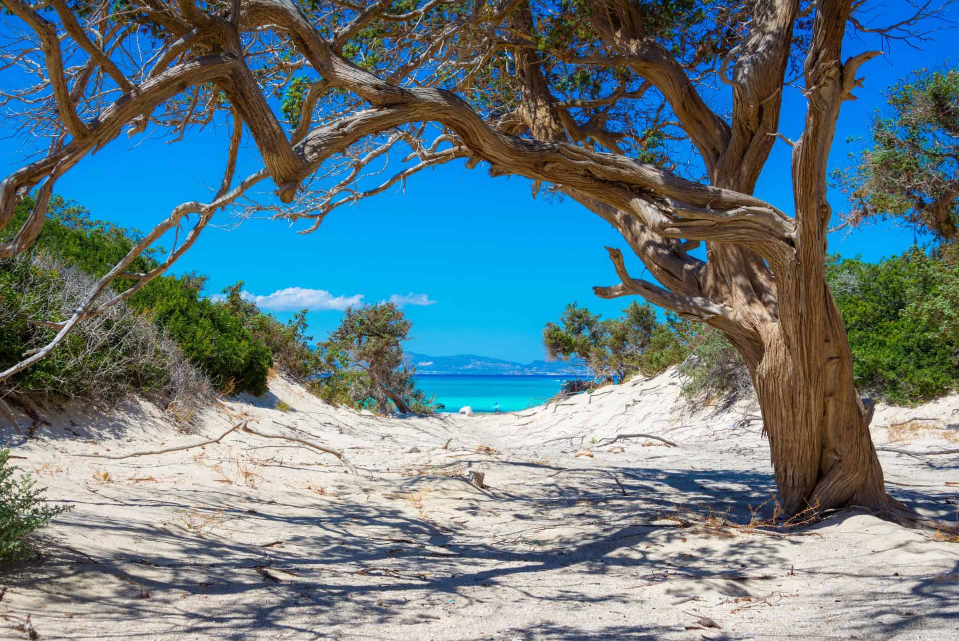 crete en aout ile de chrissi