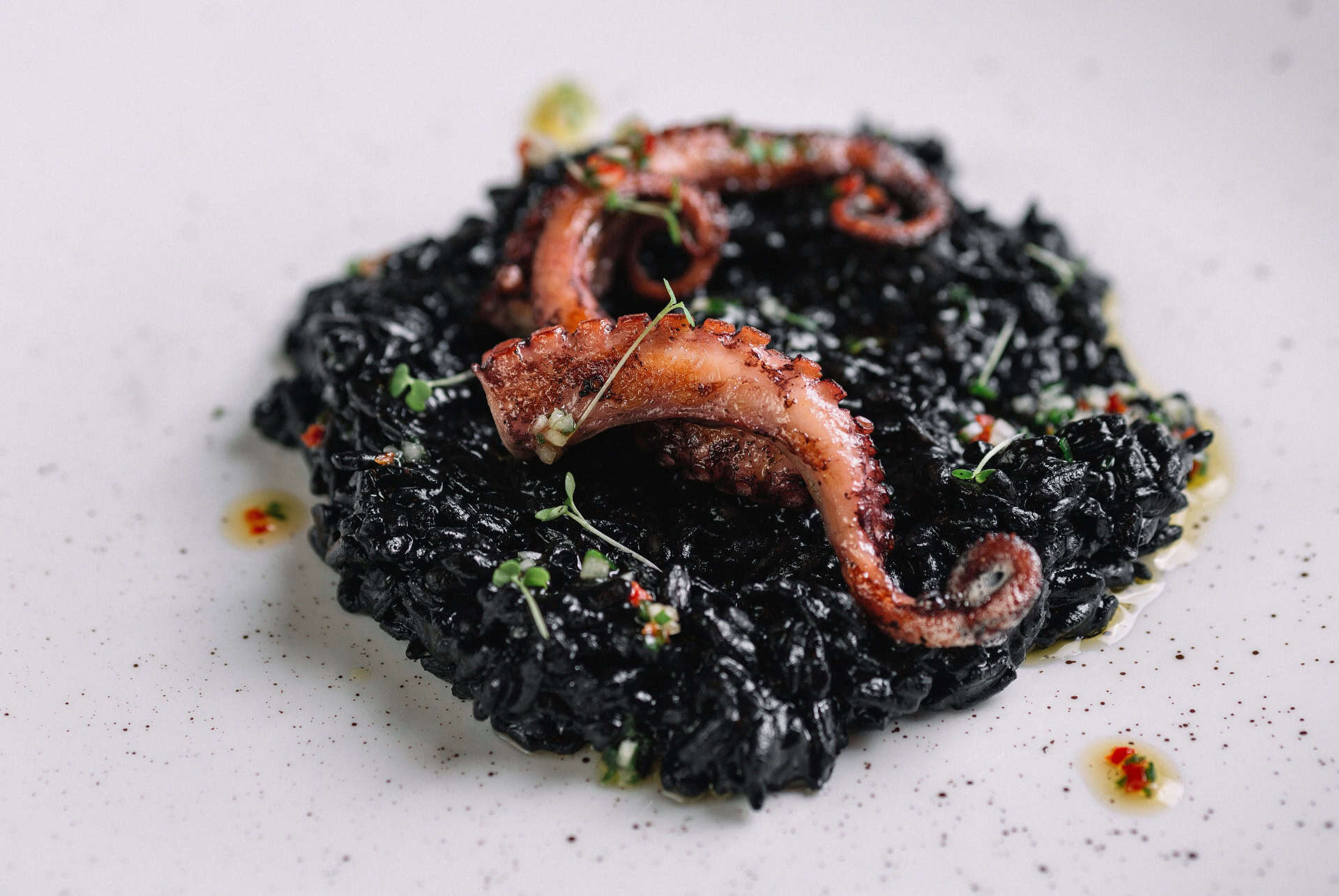 crni rizot risotto noir avec encre de seiche