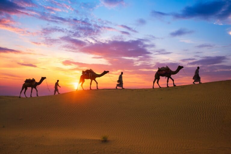 Safari à dos de chameau à Jodhpur et nuit dans le désert