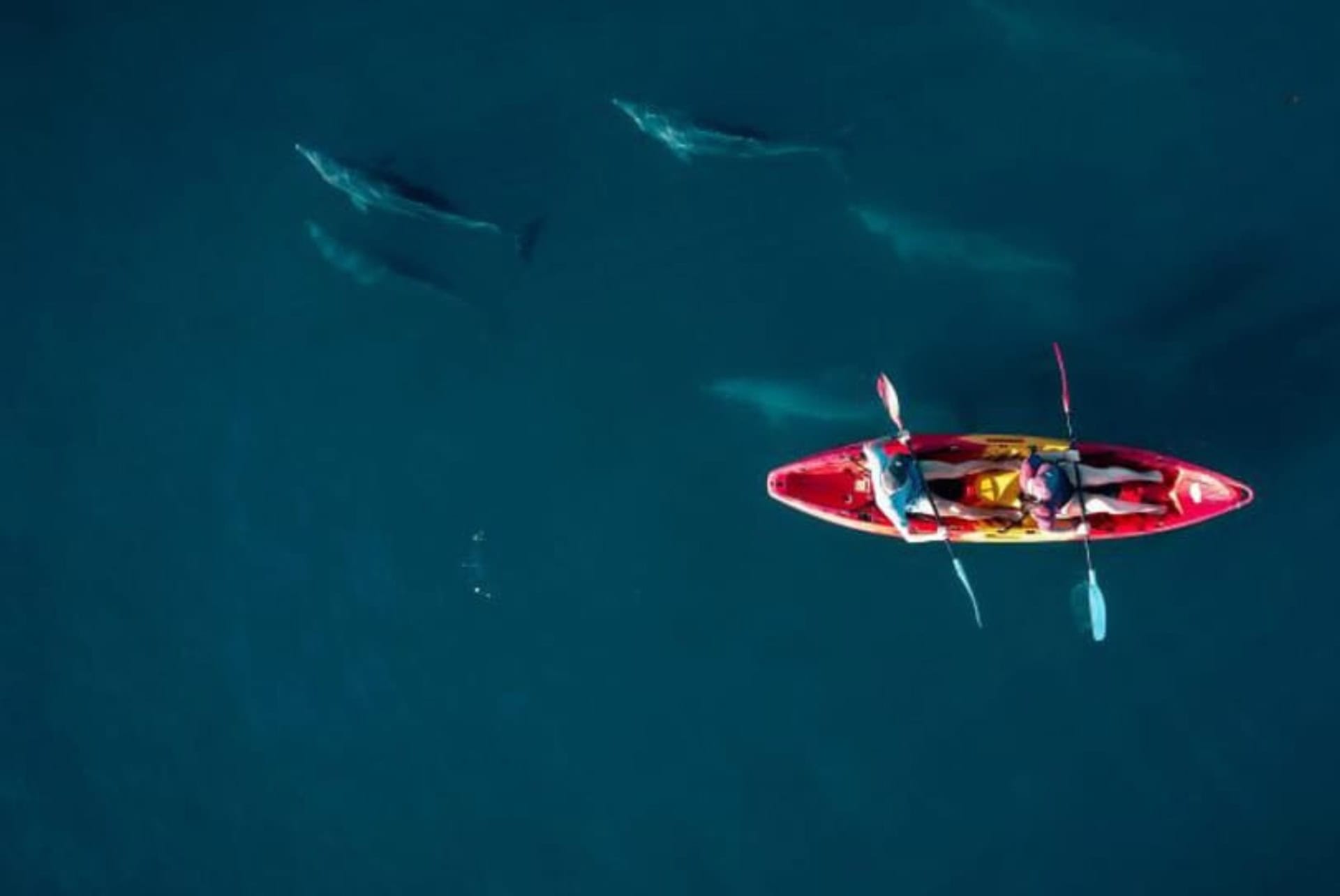 excursion kayak baie de tamarin