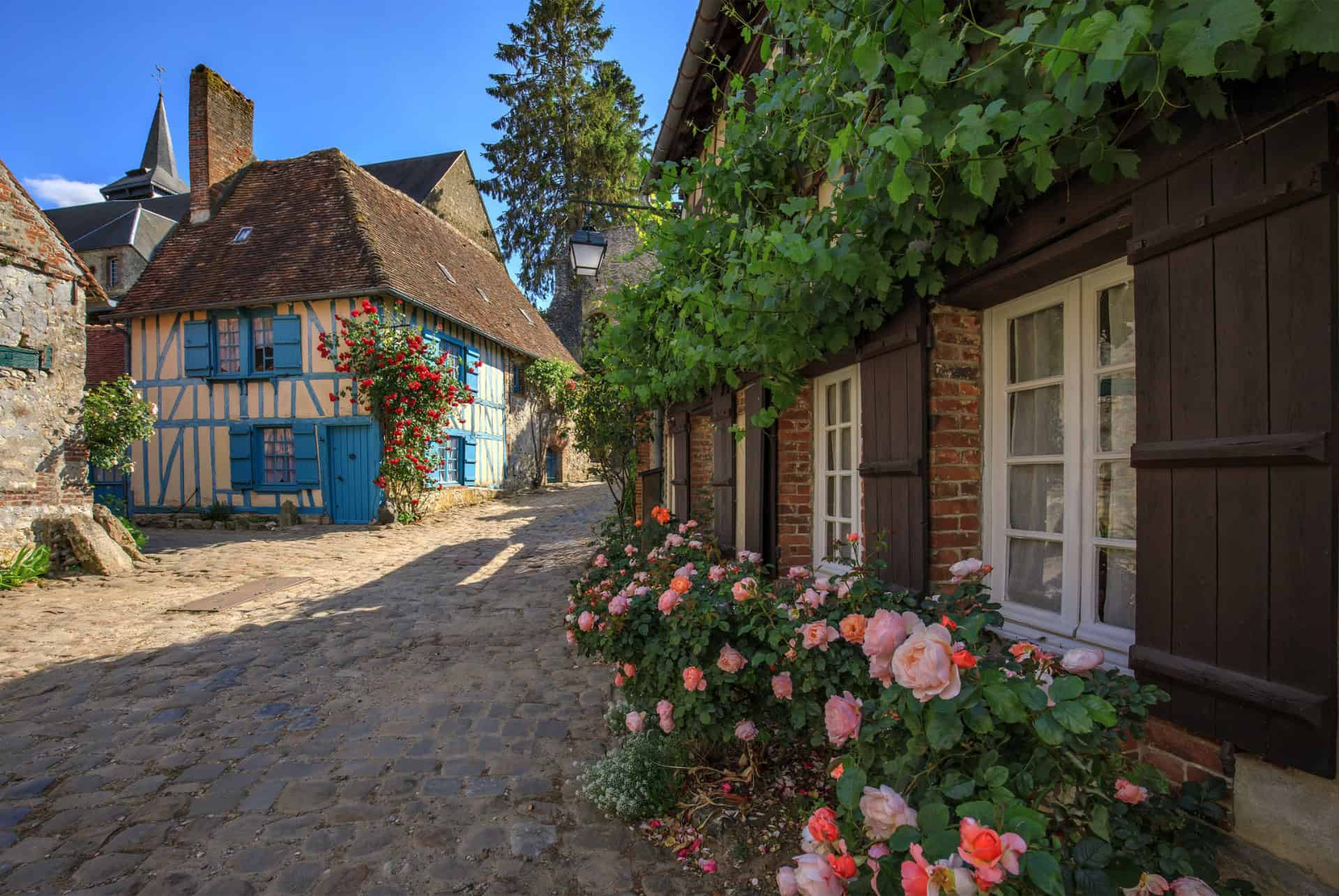 gerberoy