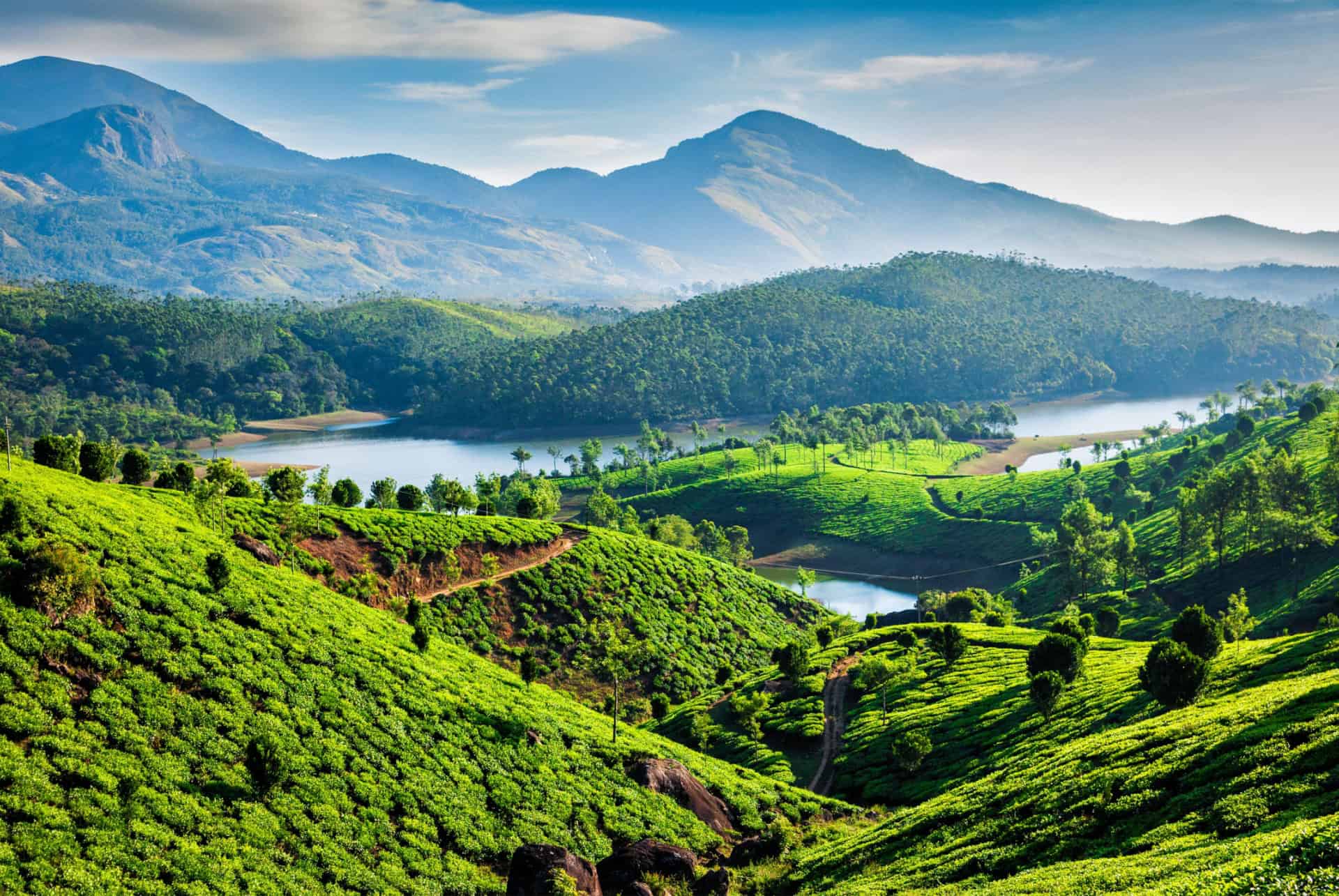 kerala montagnes inde