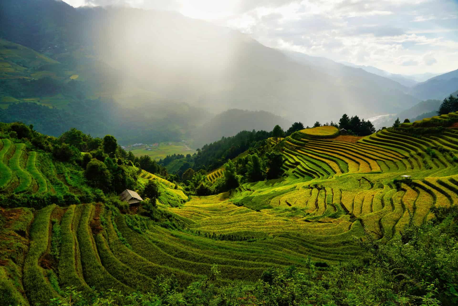 ou aller au vietnam rizieres sa pa