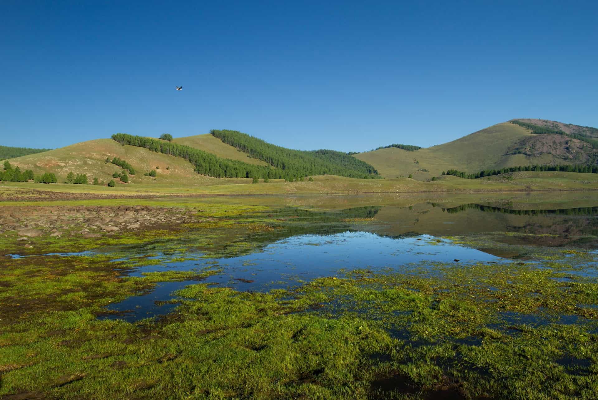 parc huit lacs road trip mongolie