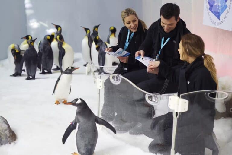 Rencontre avec les pingouins au SEA LIFE Melbourne